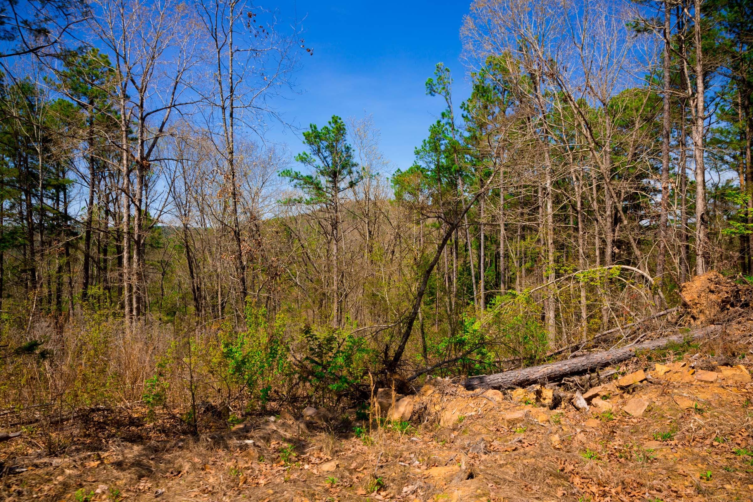 Stone Creek Phase II Tract 221 photo 12