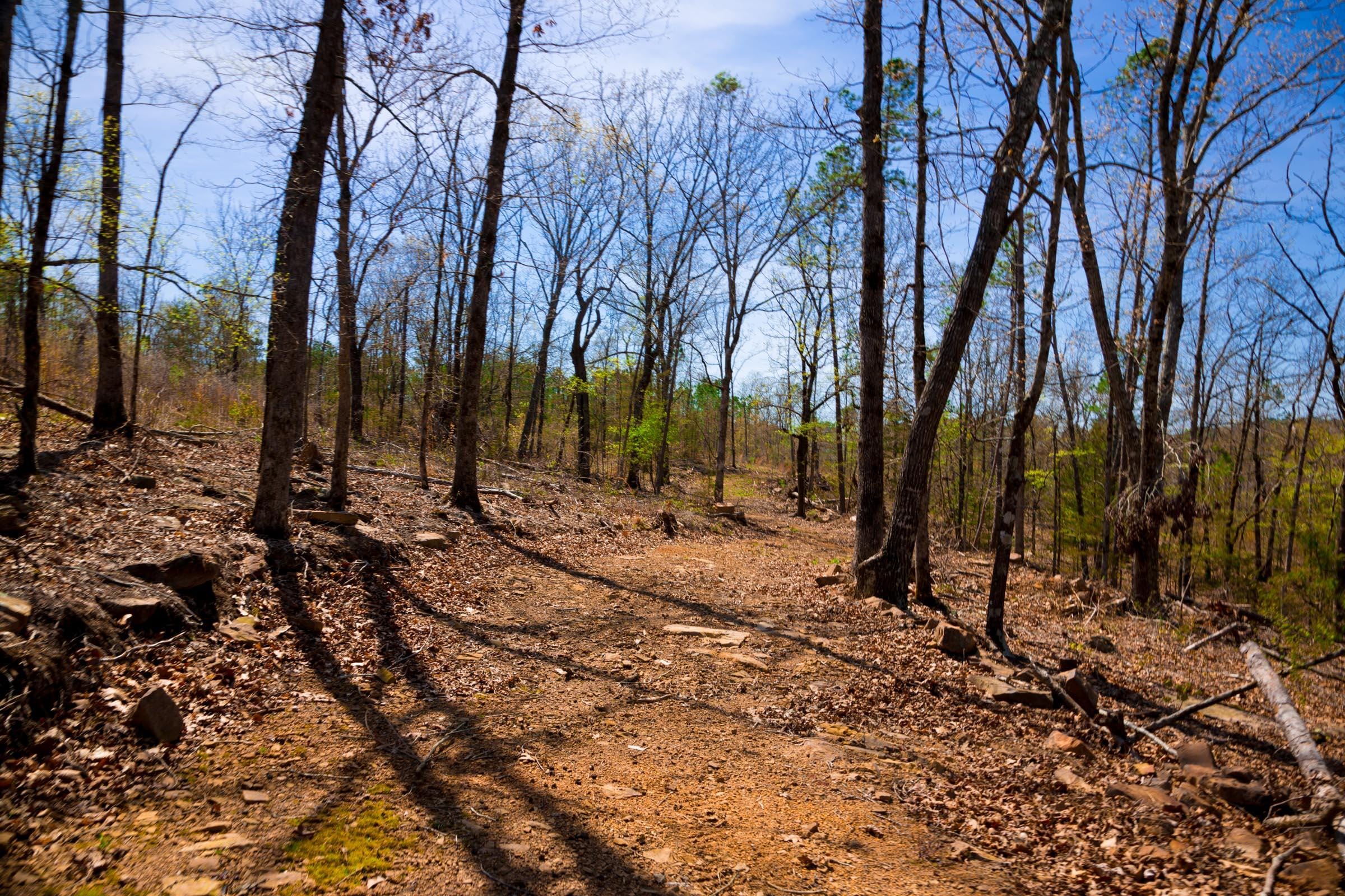 Stone Creek Phase II Tract 221 photo 2