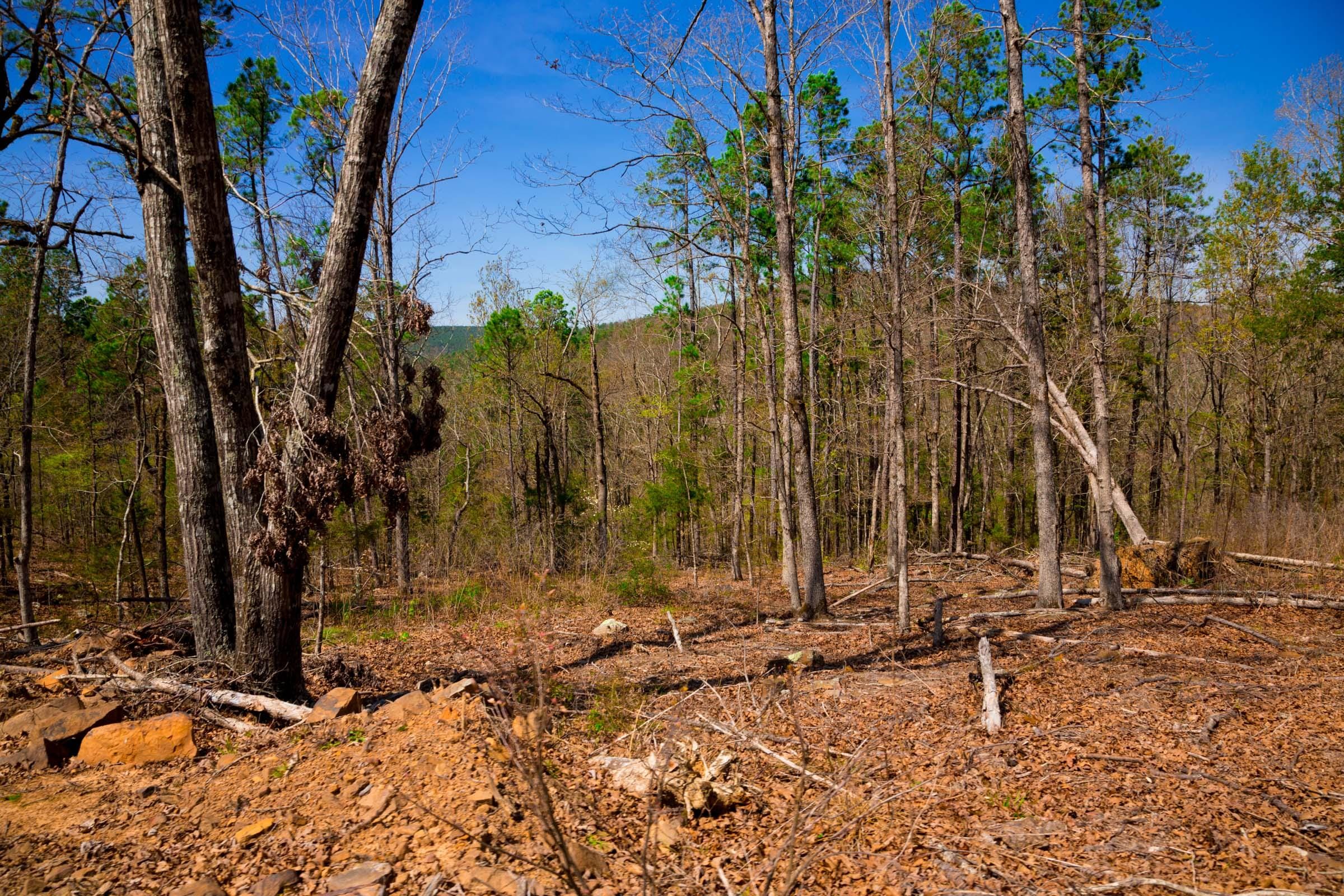 Stone Creek Phase II Tract 221 photo 13