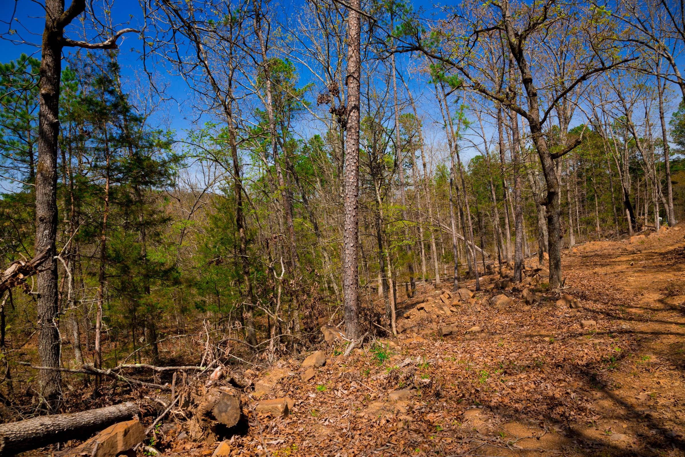 Stone Creek Phase II Tract 221 photo 14