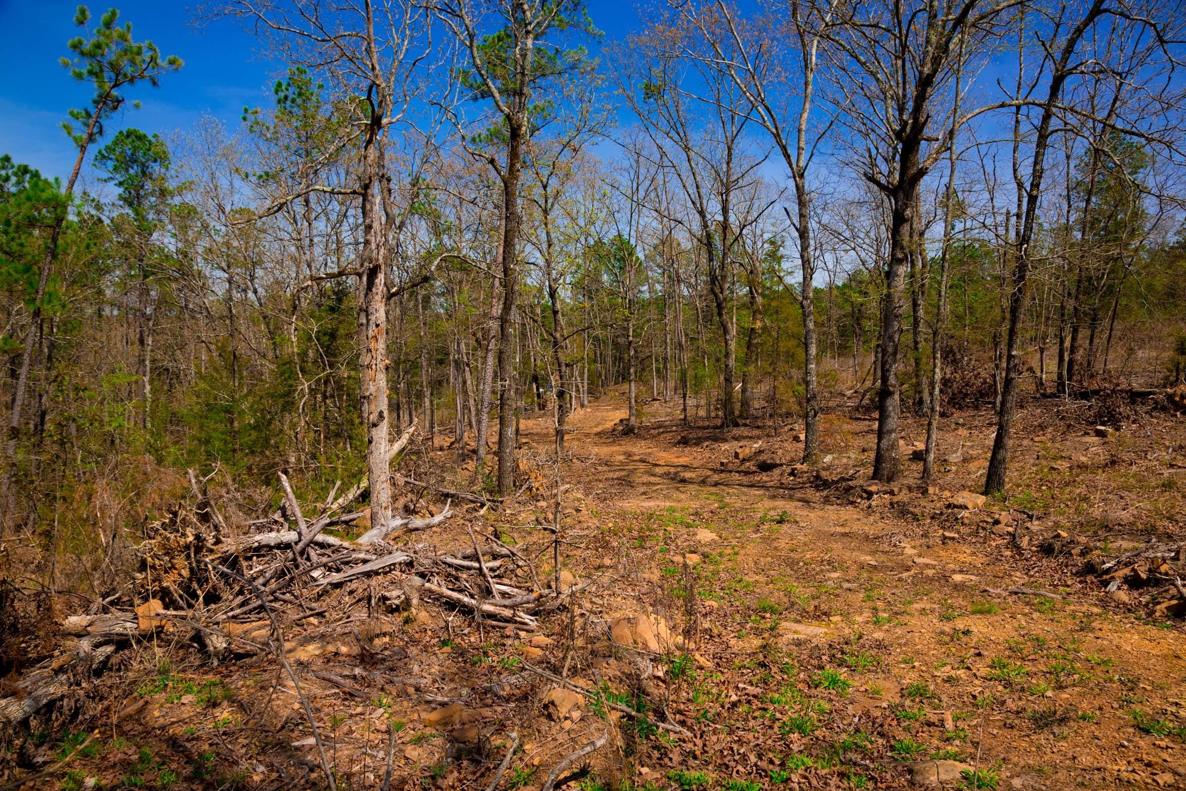 Stone Creek Phase II Tract 221 photo 15