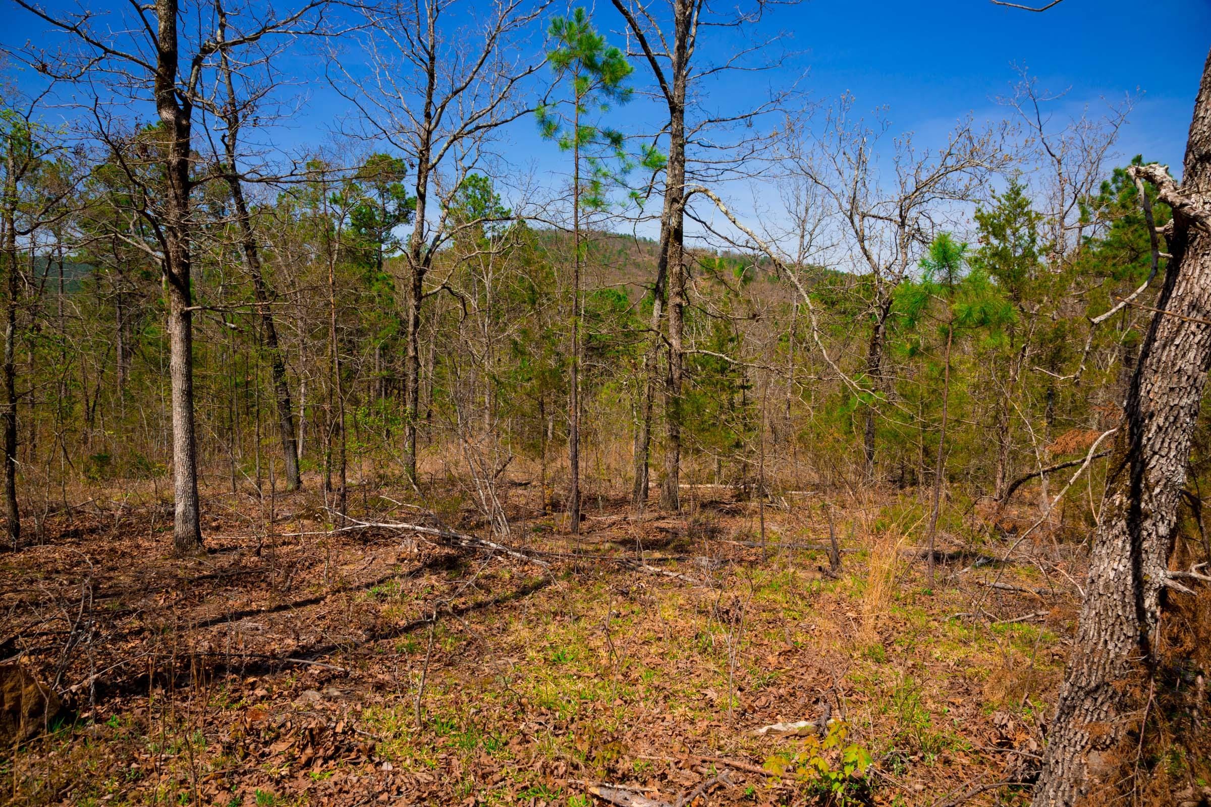 Stone Creek Phase II Tract 221 photo 16