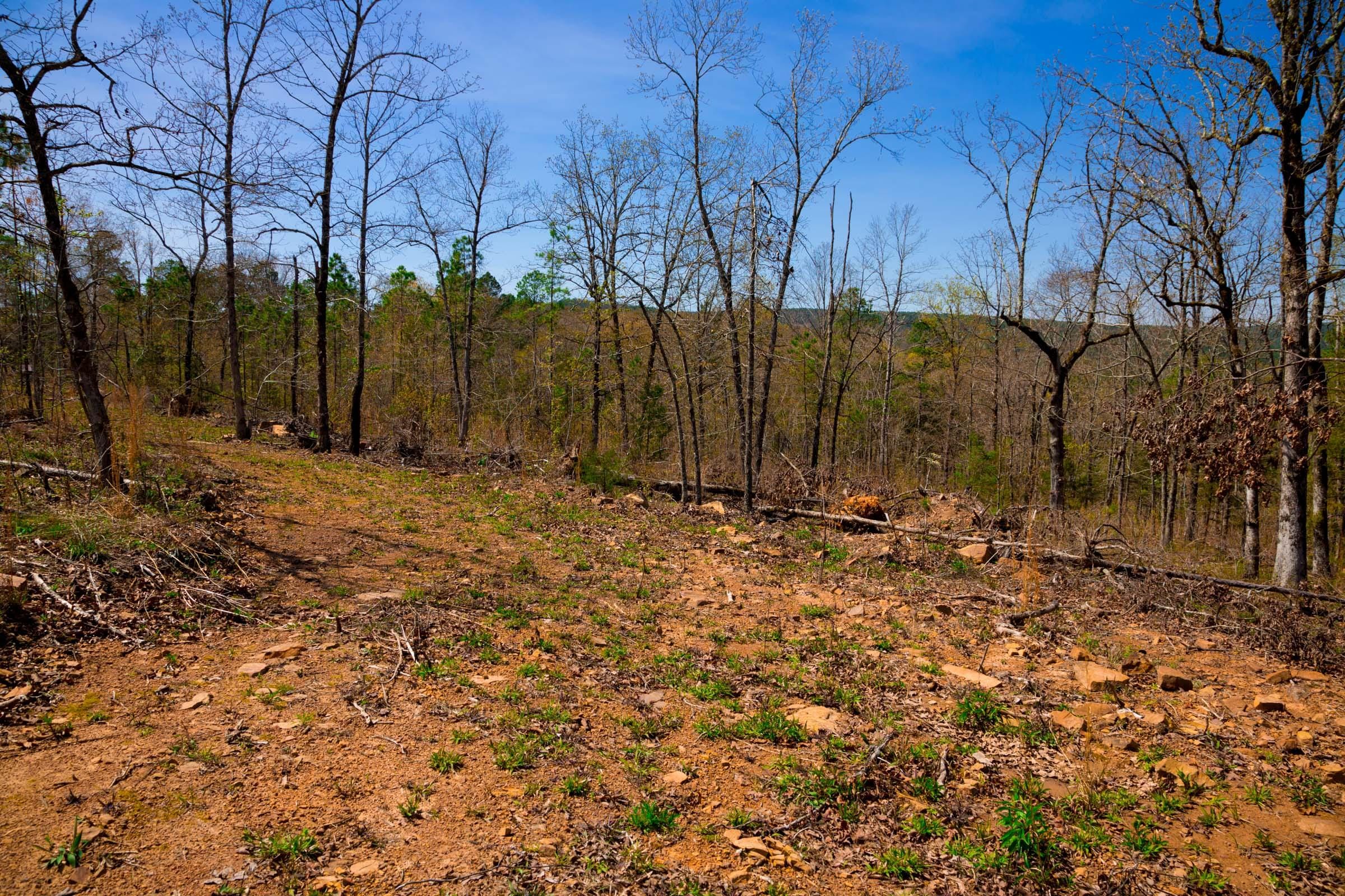 Stone Creek Phase II Tract 221 photo 17