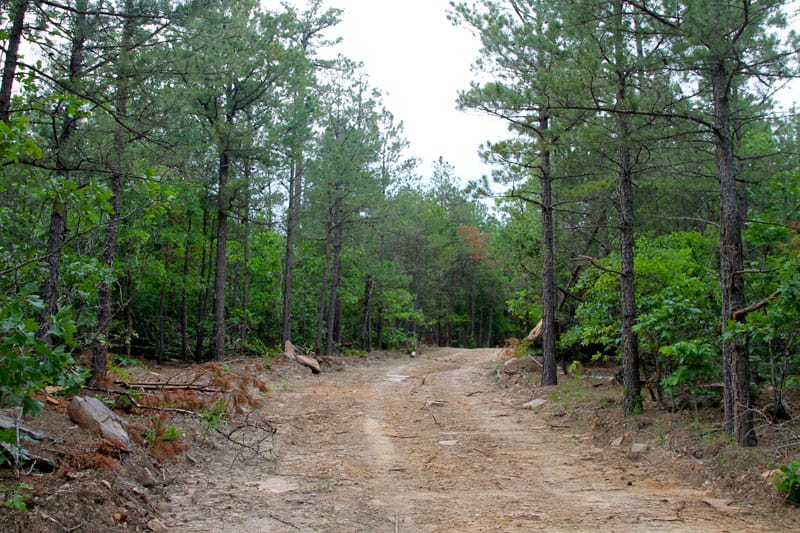 Trophy Ridge Phase II Tract 91 photo 1