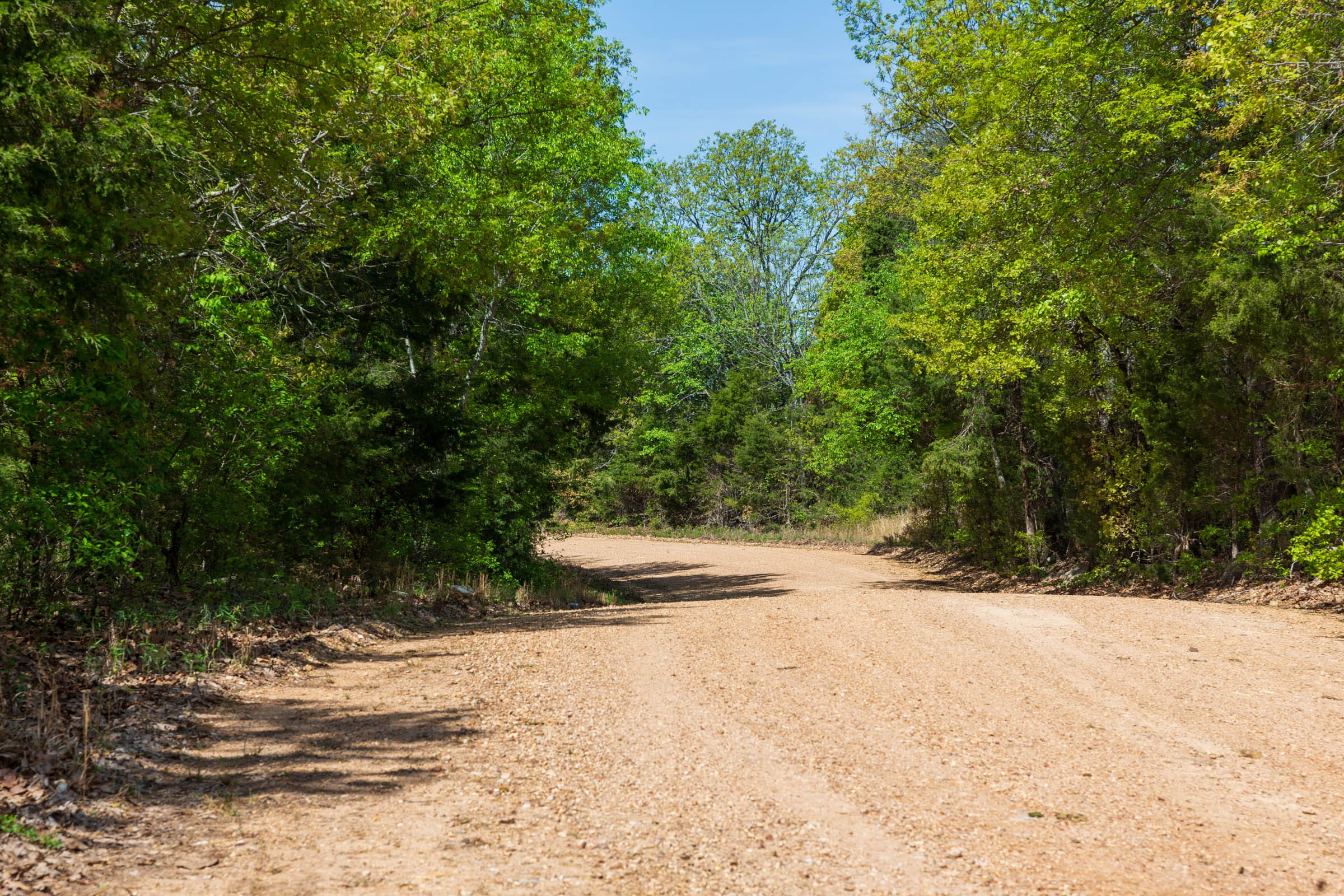 Autumnwood Tract 2 photo 1
