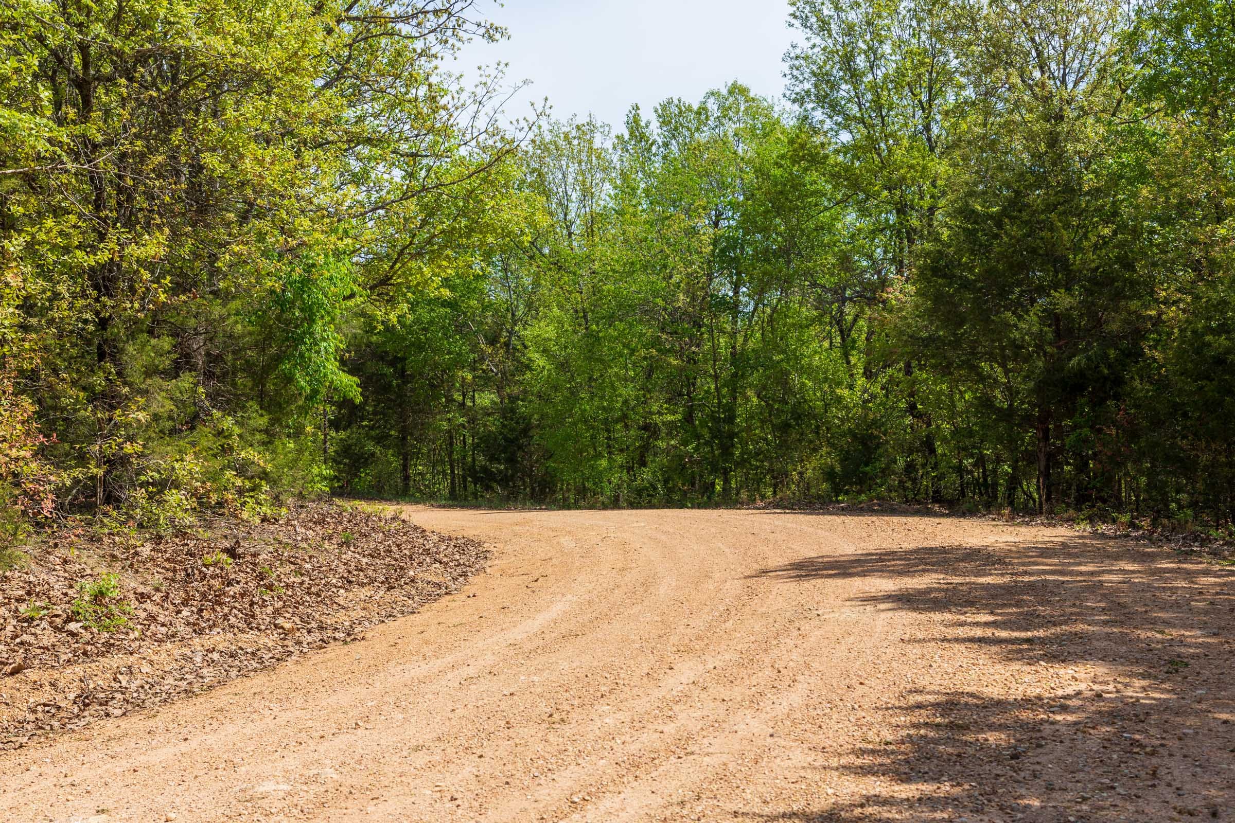 Autumnwood Tract 2 photo 6