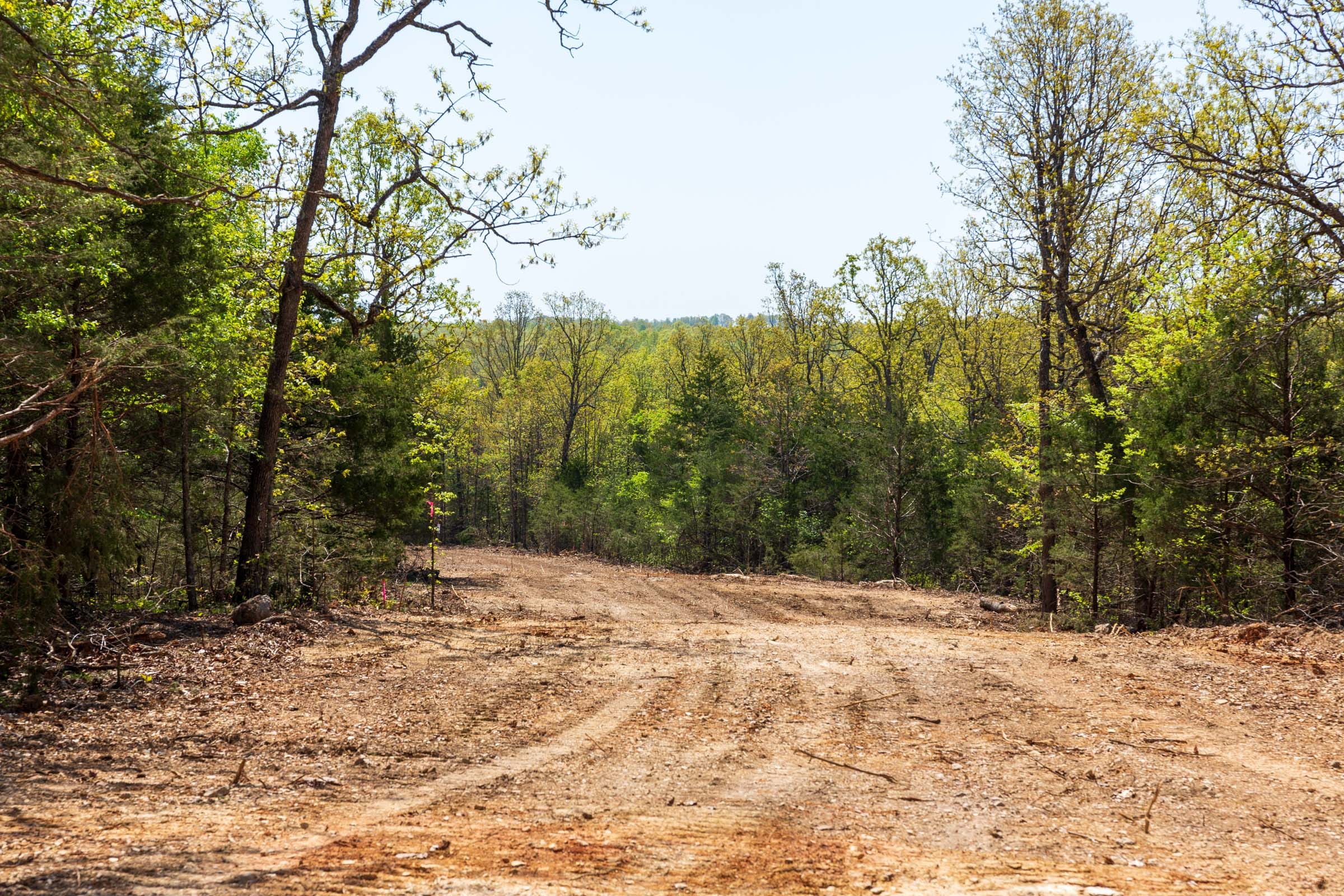 Autumnwood Tract 2 photo 16