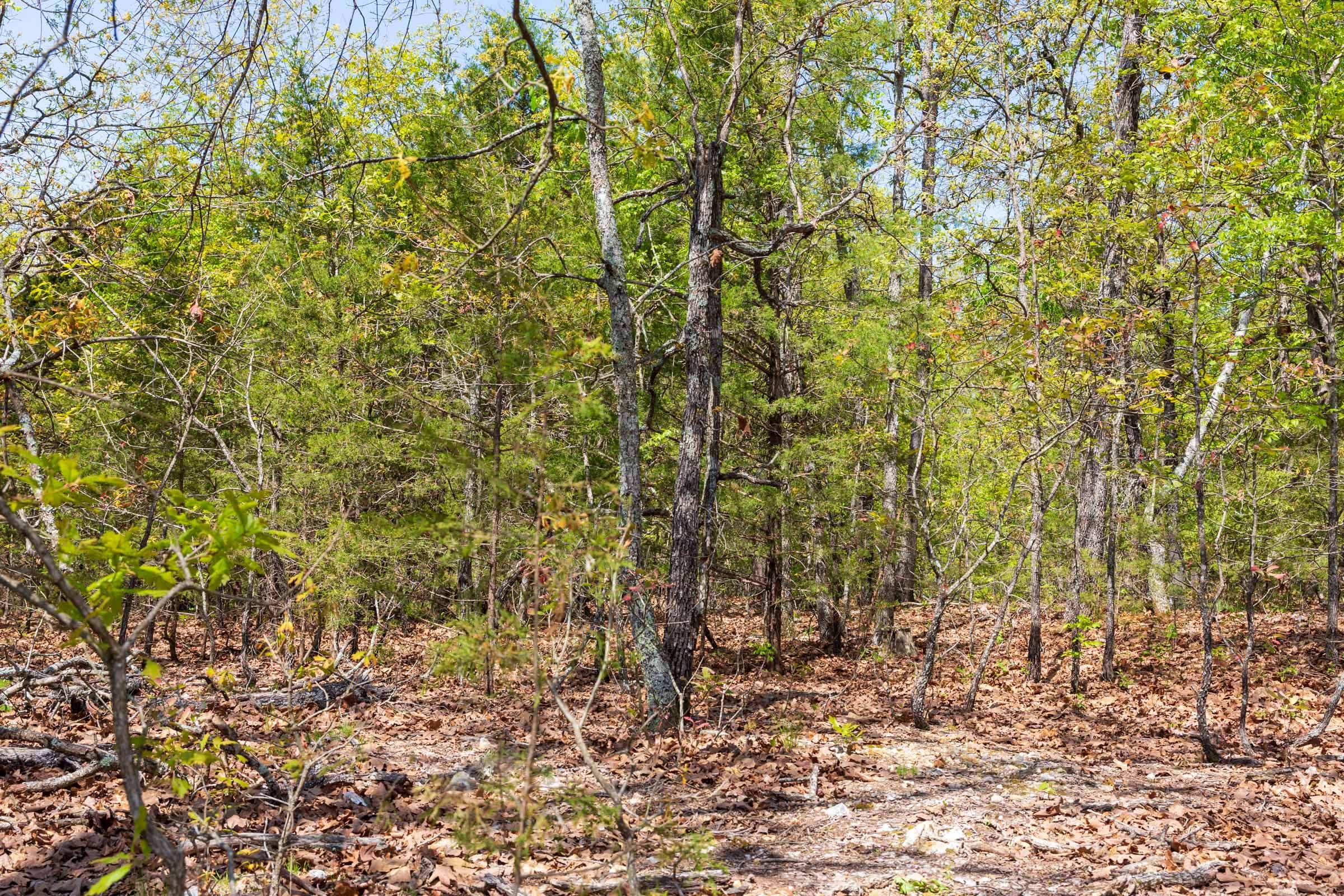 Autumnwood Tract 2 photo 12