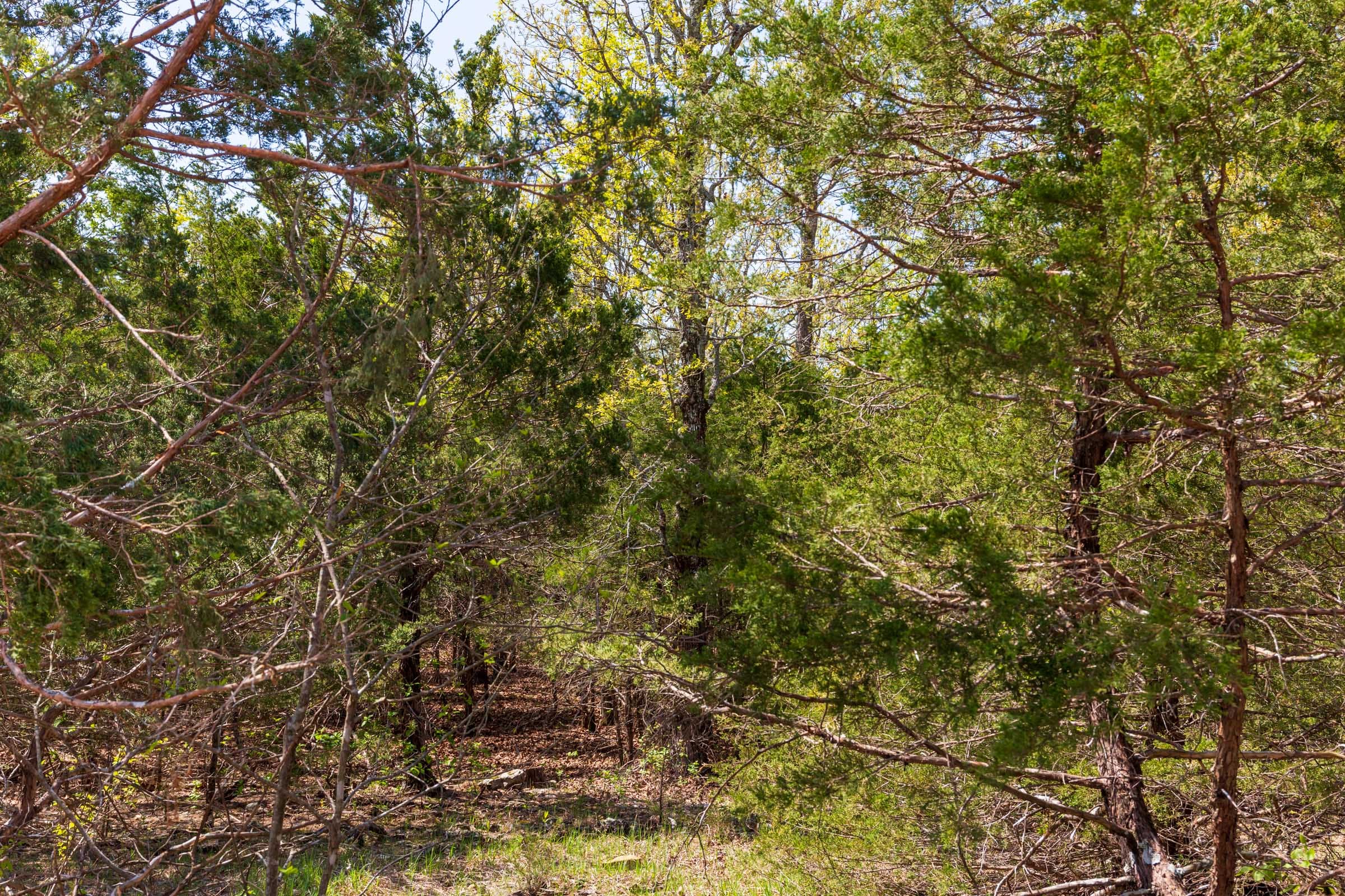 Autumnwood Tract 2 photo 13