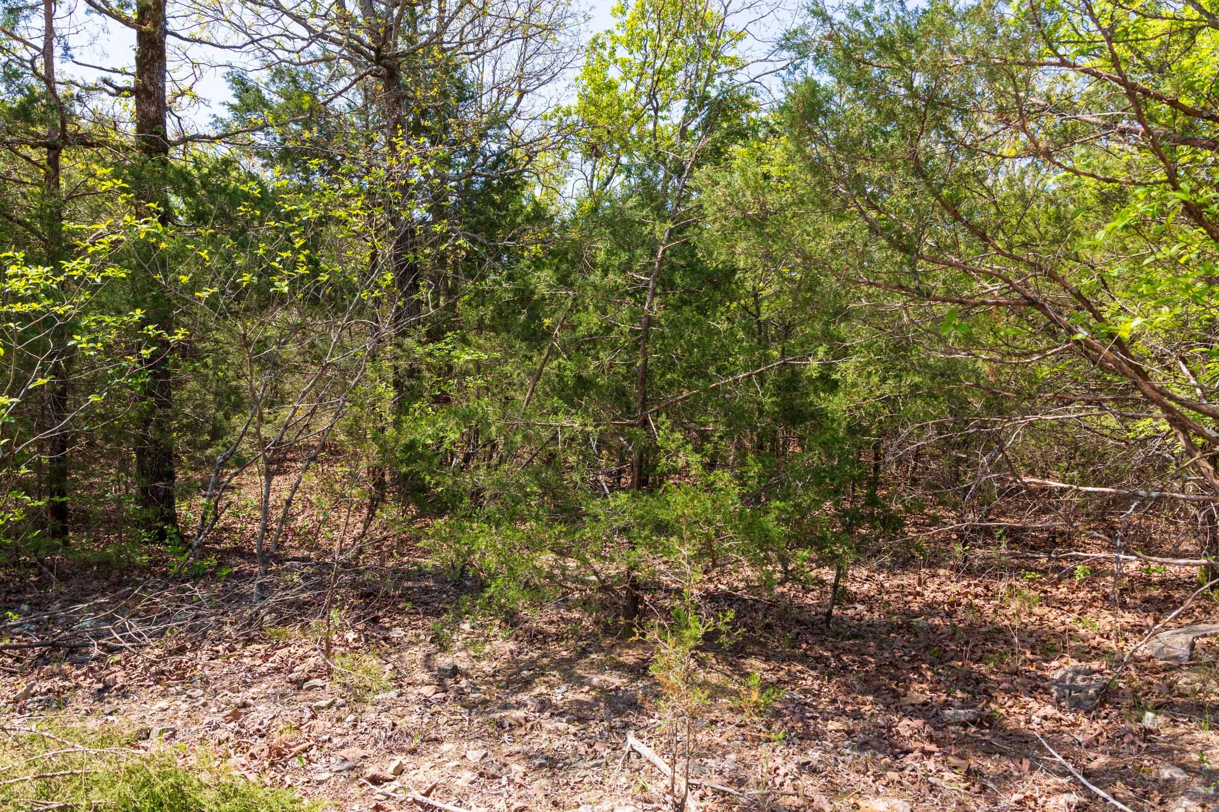 Autumnwood Tract 2 photo 15