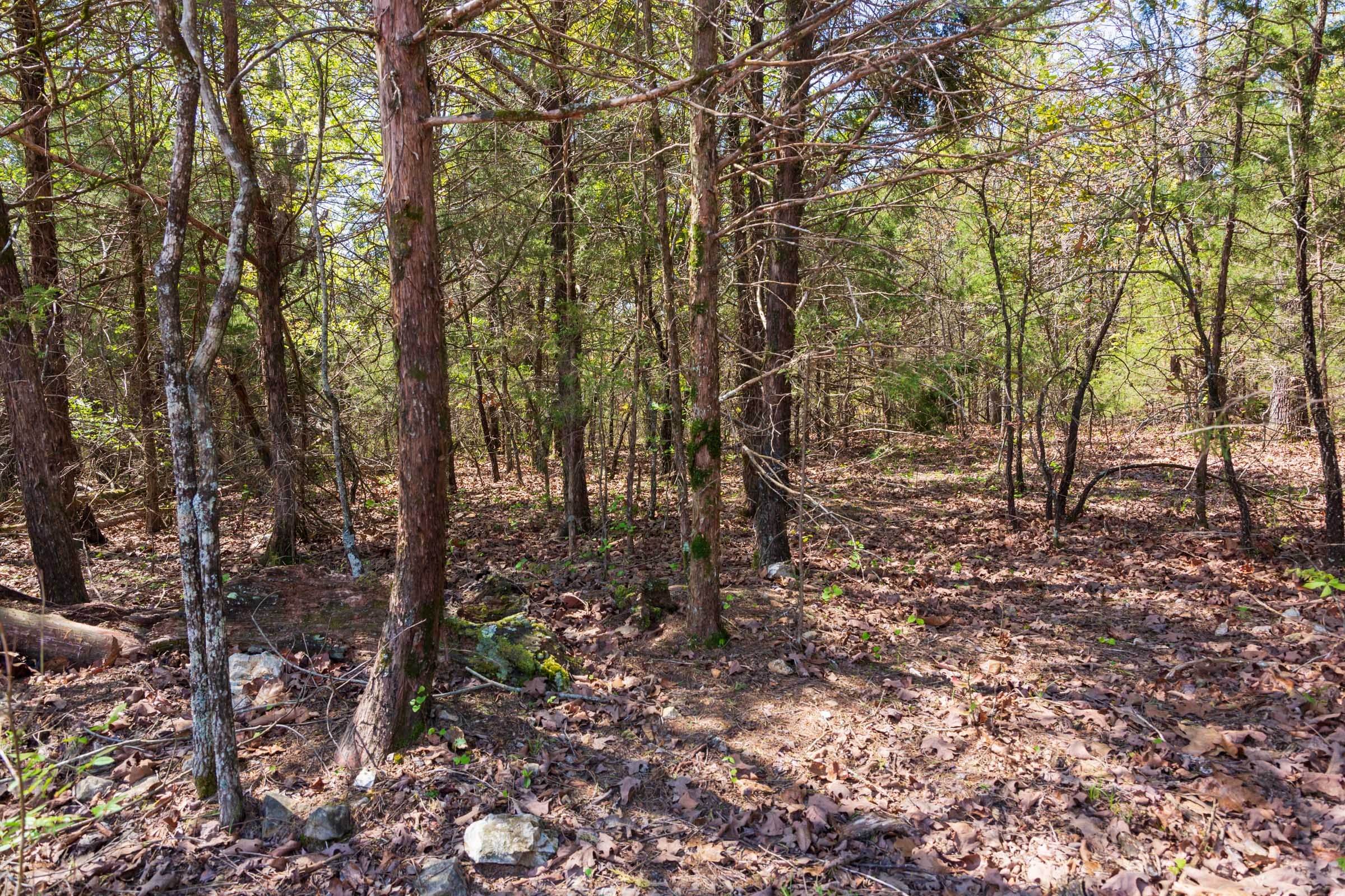 Autumnwood Tract 2 photo 18
