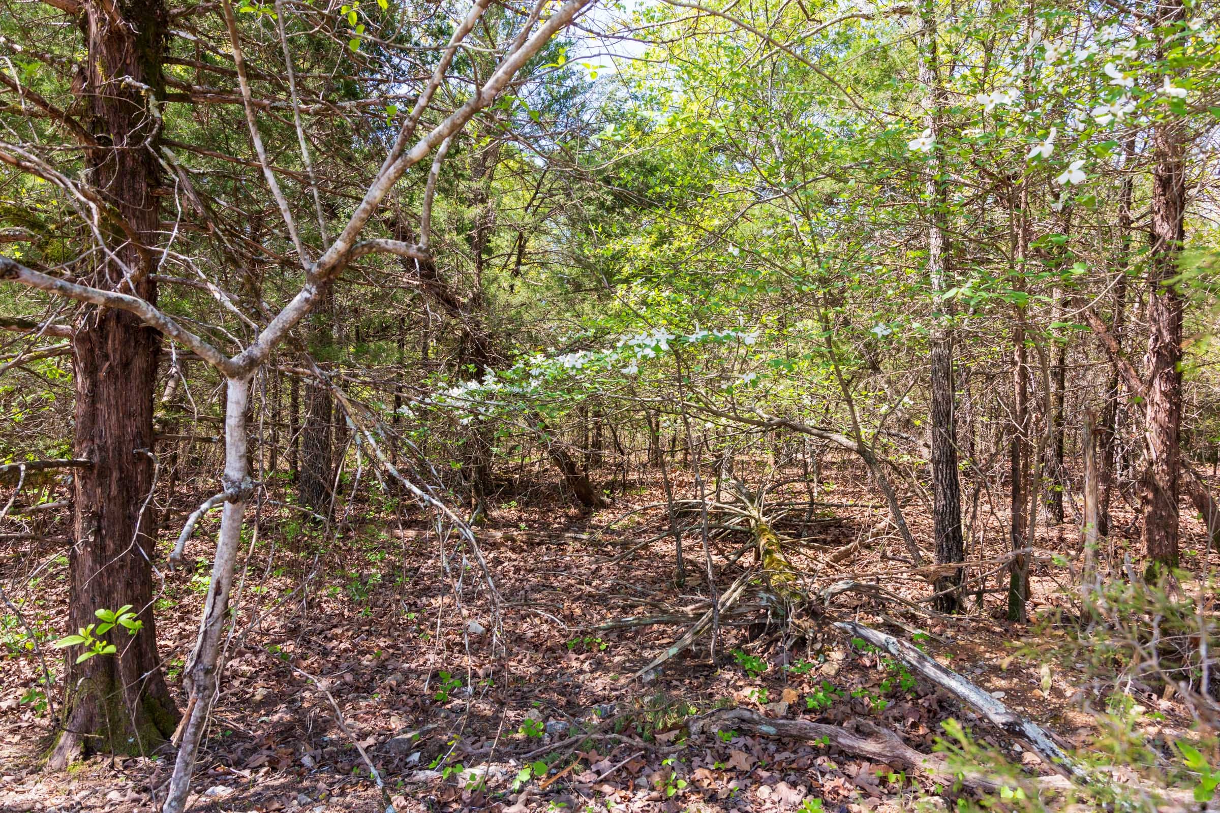 Autumnwood Tract 2 photo 20