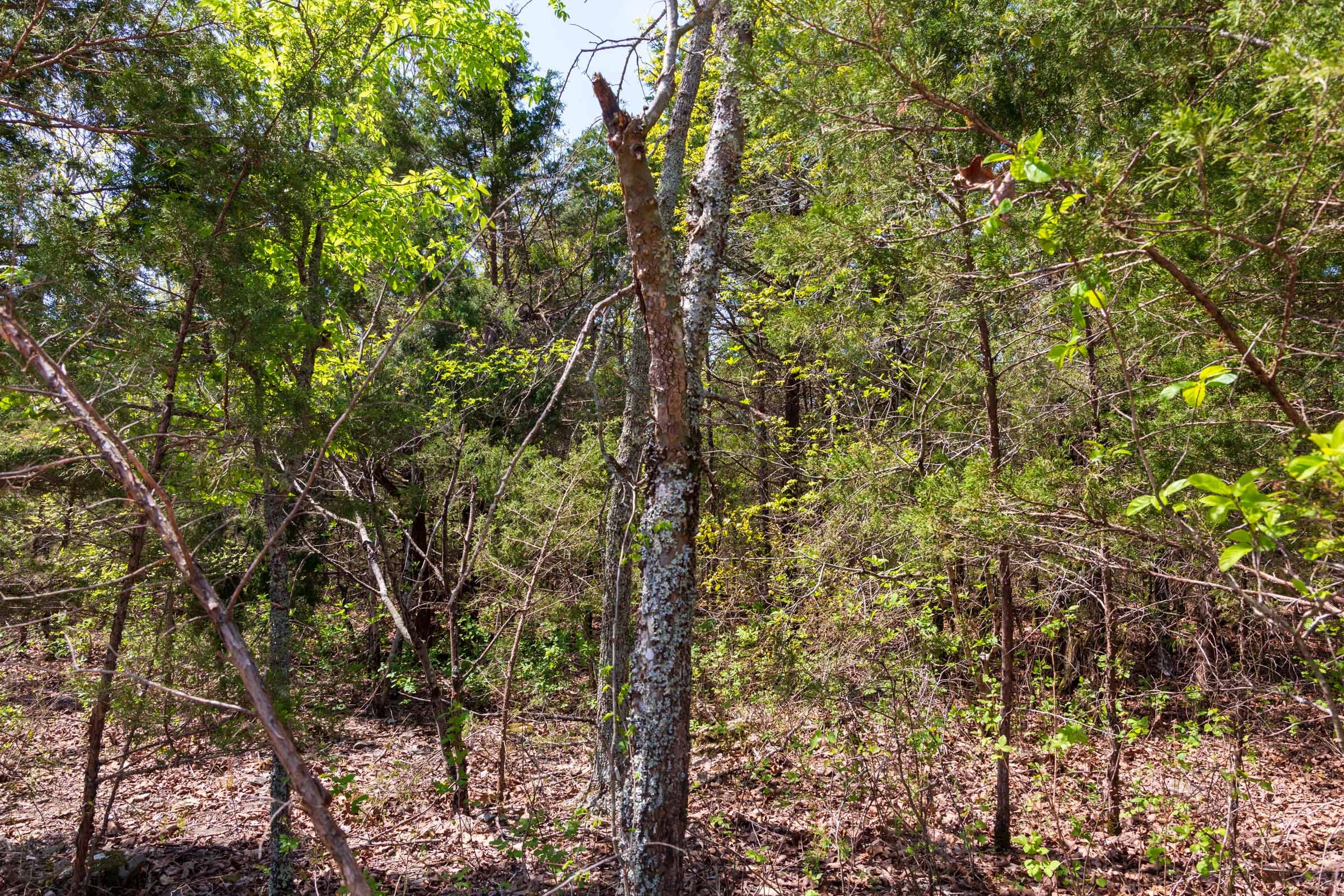 Autumnwood Tract 2 photo 21