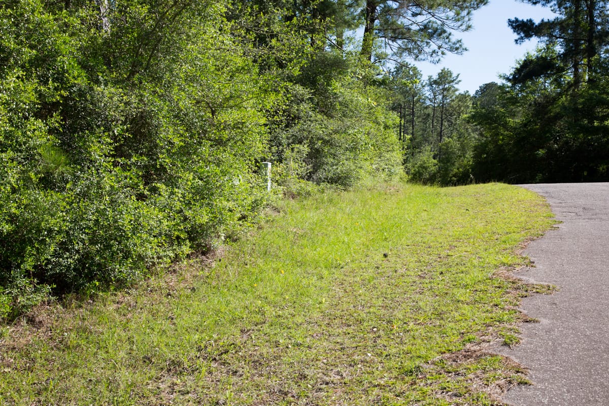 Rayburn Country Tract 190 photo 2