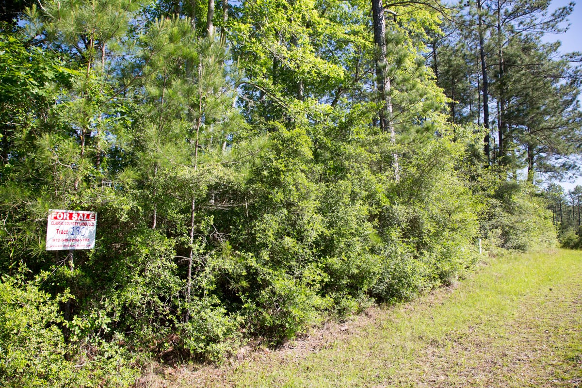Rayburn Country Tract 190 photo 3