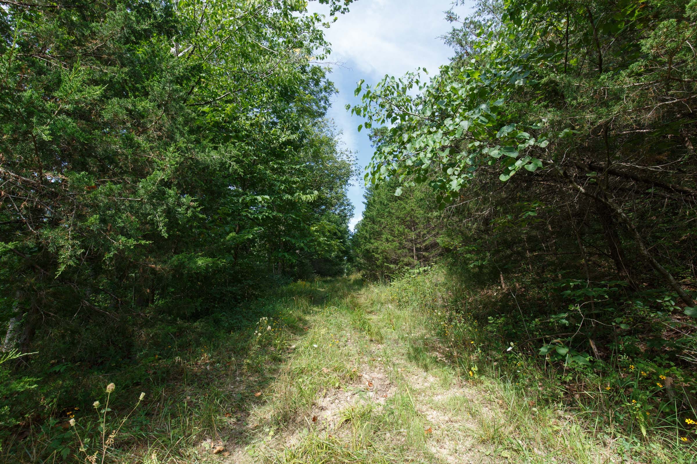 Spring Lake Plat 6 Tract 152 photo 1