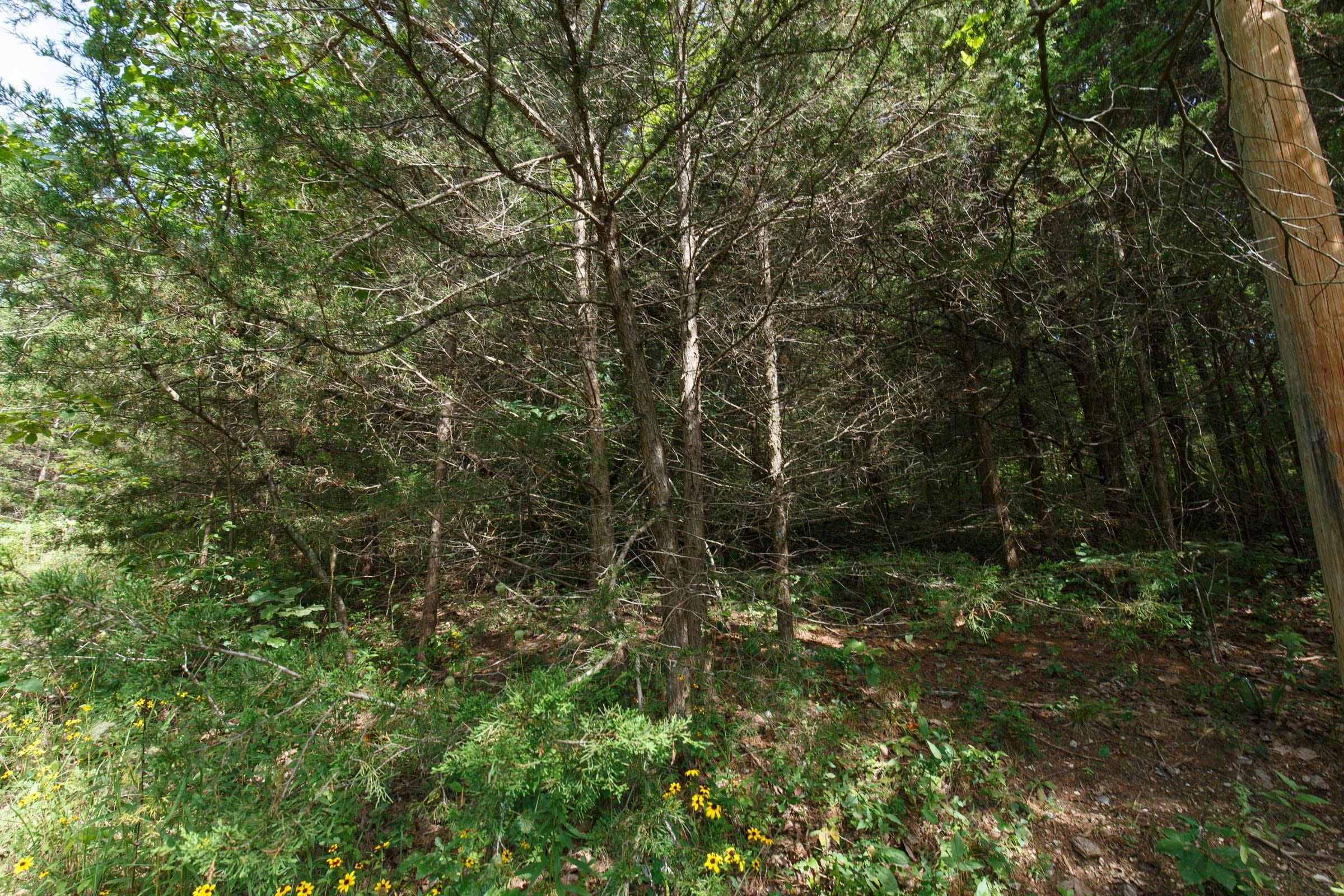 Spring Lake Plat 6 Tract 152 photo 2