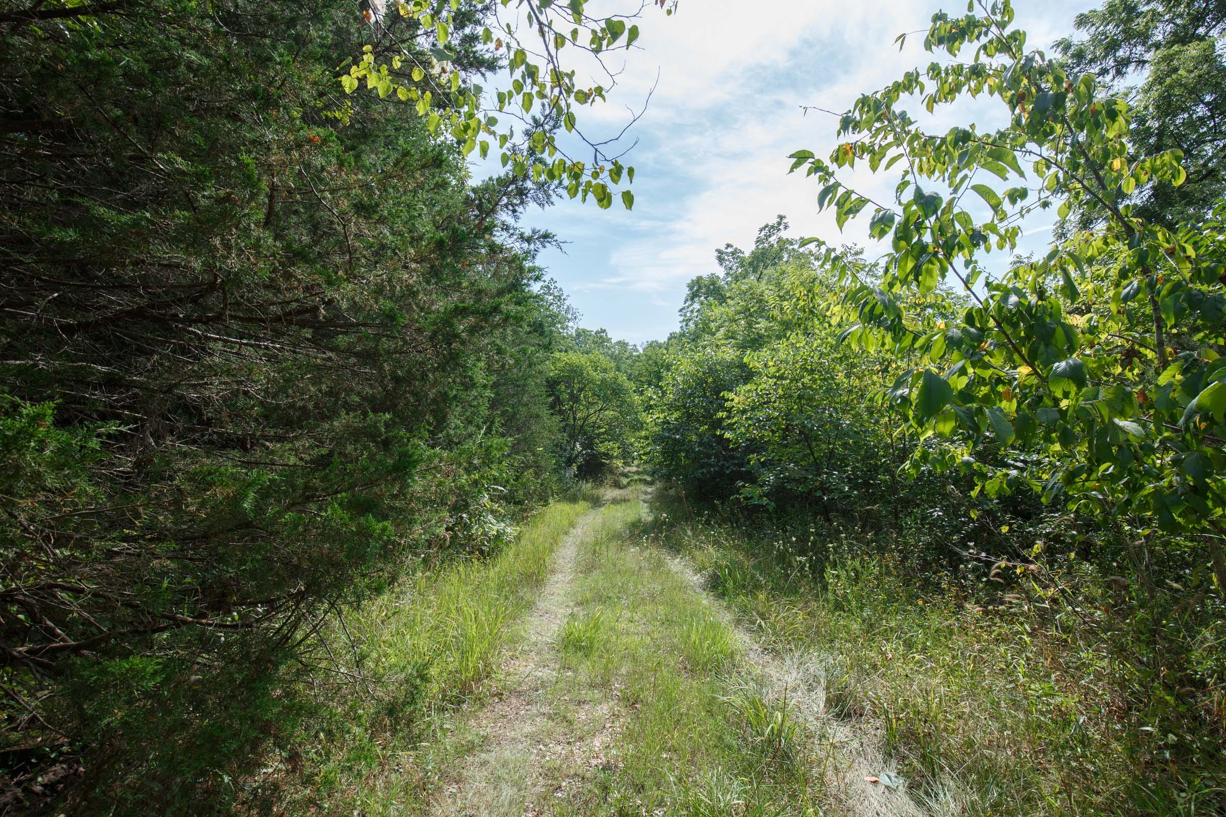 Spring Lake Plat 6 Tract 152 photo 3