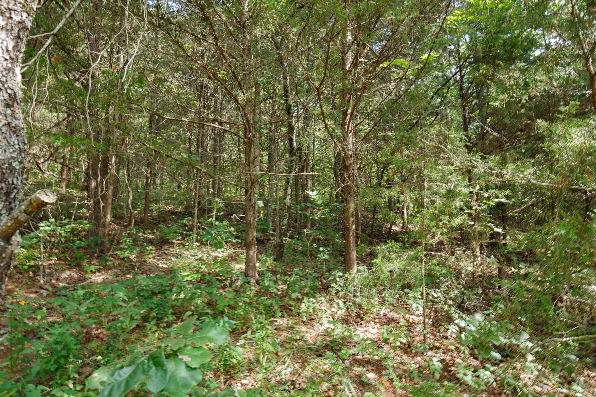 Spring Lake Plat 6 Tract 152 photo 4