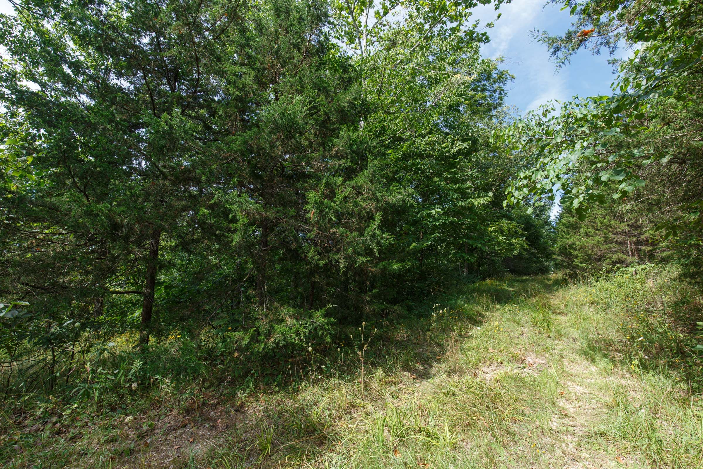 Spring Lake Plat 6 Tract 152 photo 5