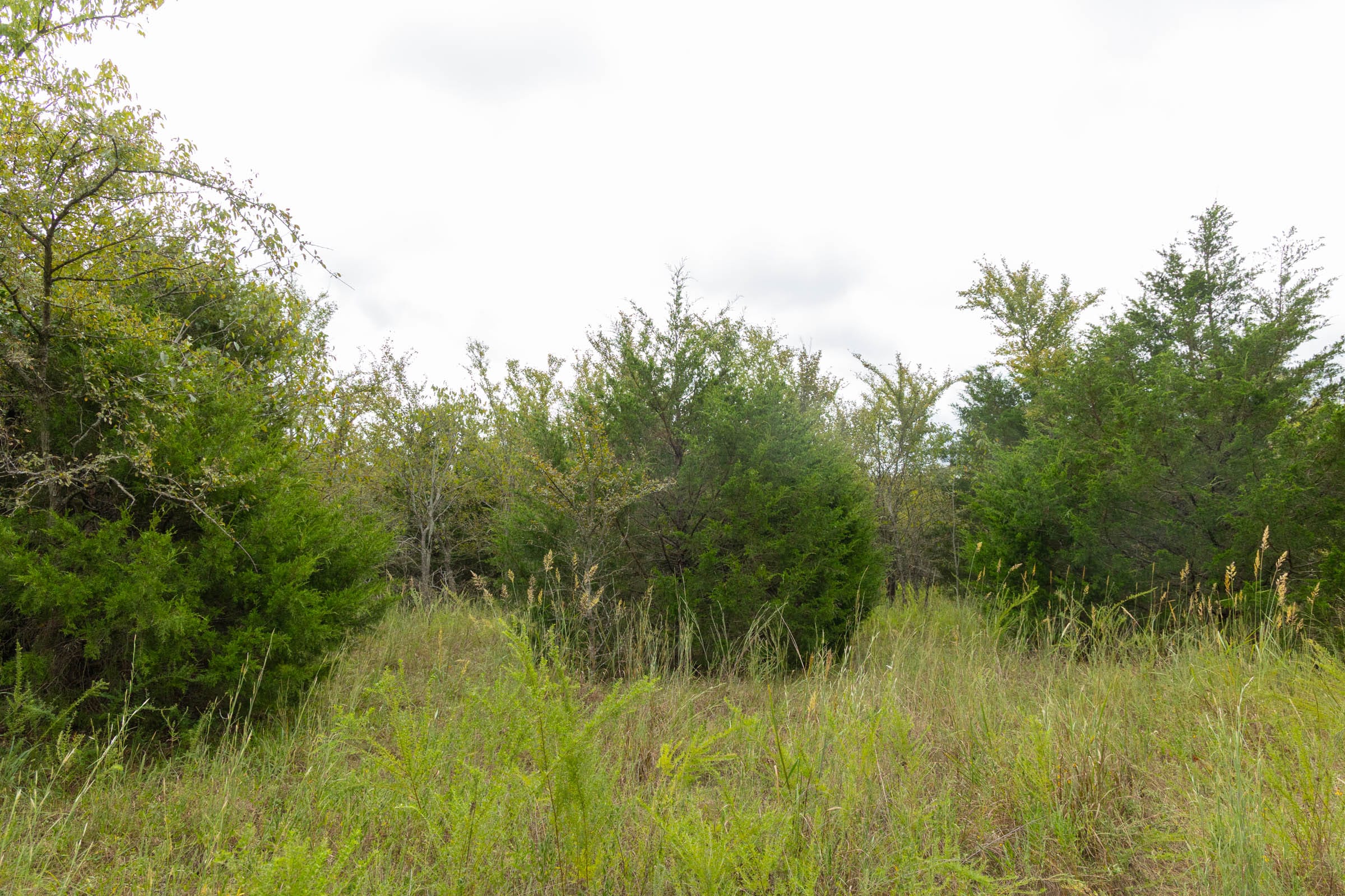 Reserves At Cattail Cove Phase II Tract 86 photo 11