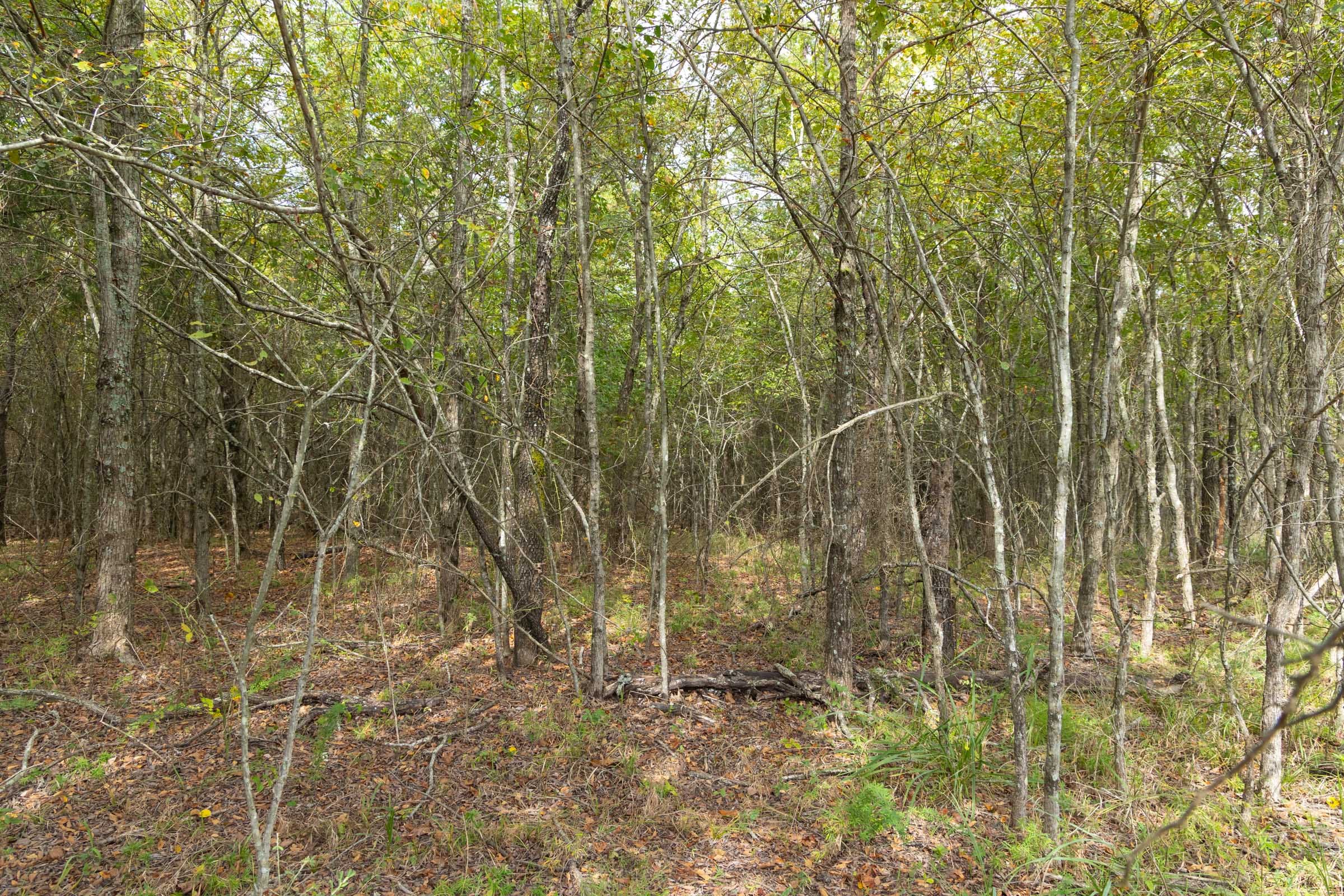 Reserves At Cattail Cove Phase II Tract 86 photo 12