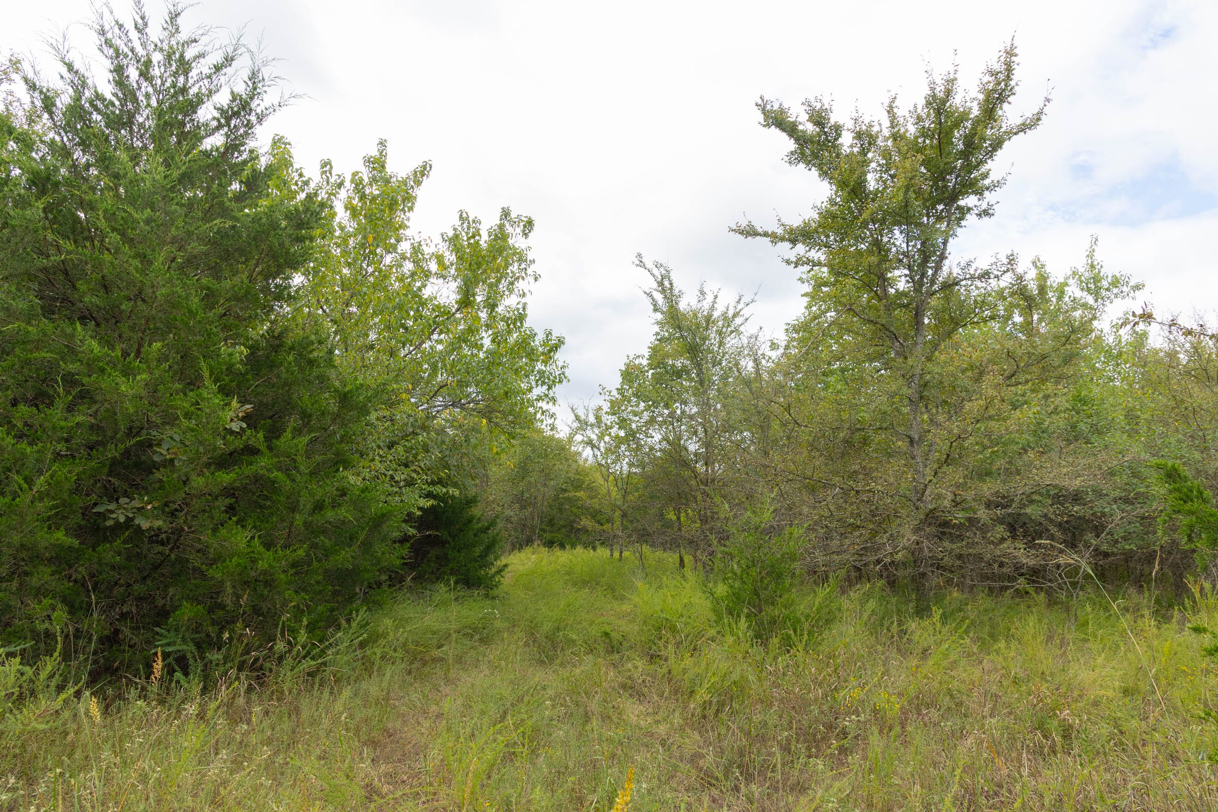 Reserves At Cattail Cove Phase II Tract 86 photo 3