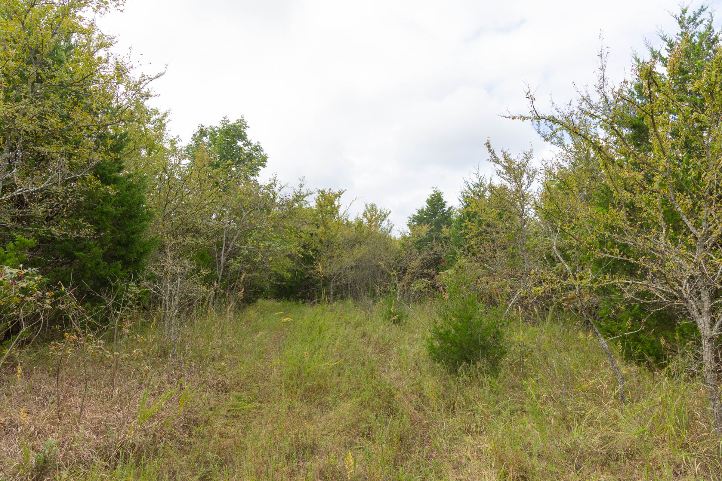 Reserves At Cattail Cove Phase II Tract 86 photo 10