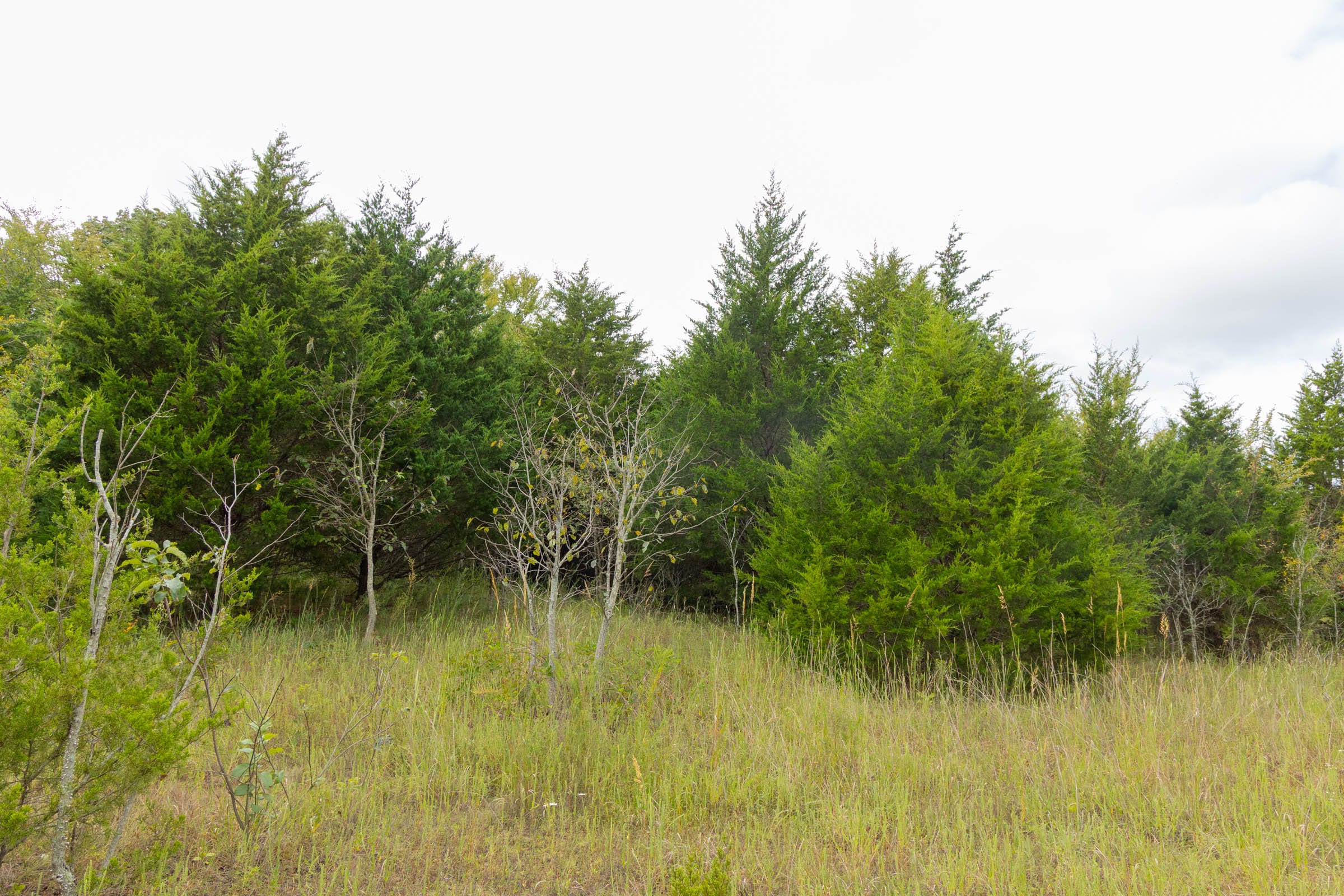 Reserves At Cattail Cove Phase II Tract 86 photo 9