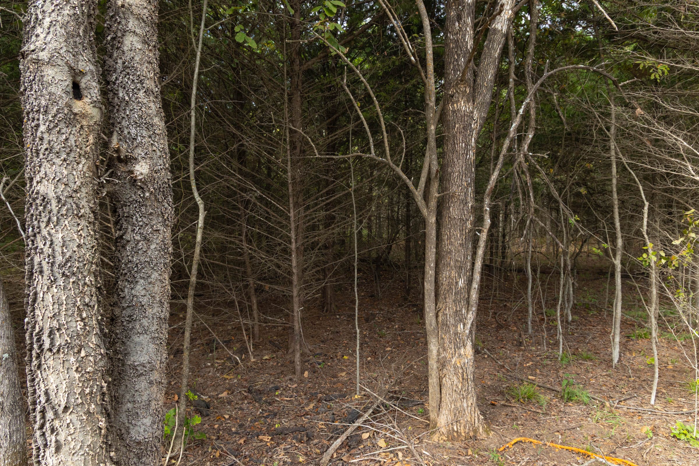 Reserves At Cattail Cove Phase II Tract 86 photo 13
