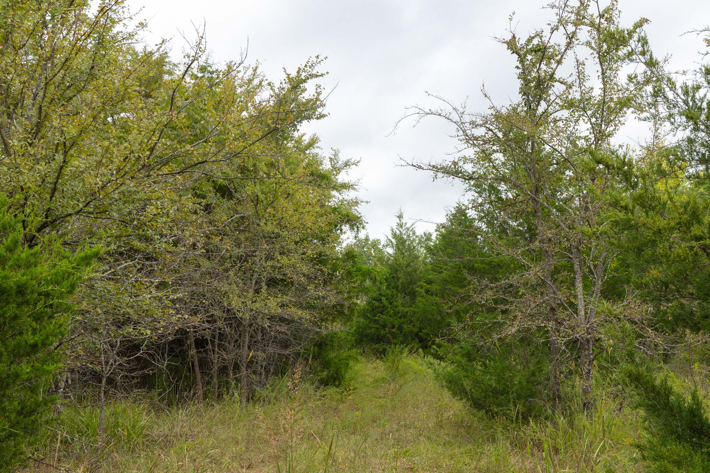 Reserves At Cattail Cove Phase II Tract 86 photo 5