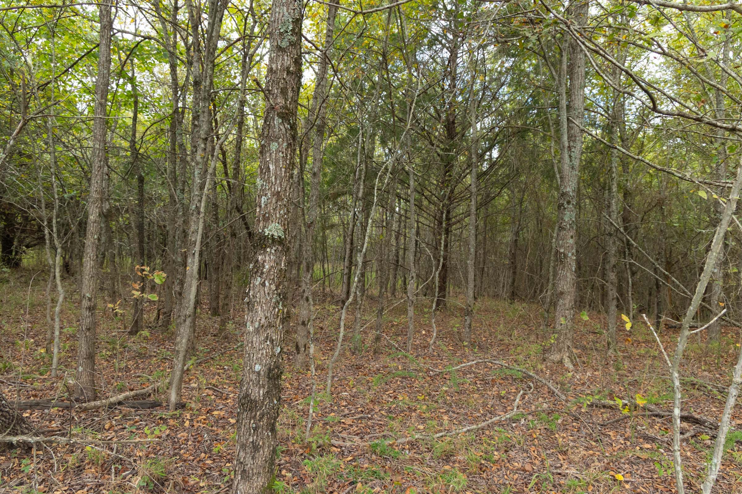 Reserves At Cattail Cove Phase II Tract 86 photo 8