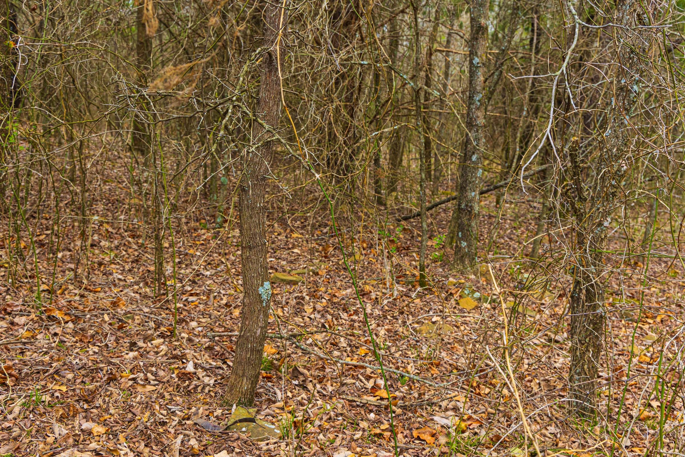 Reserves At Cattail Cove Phase I Tract 7 photo 18