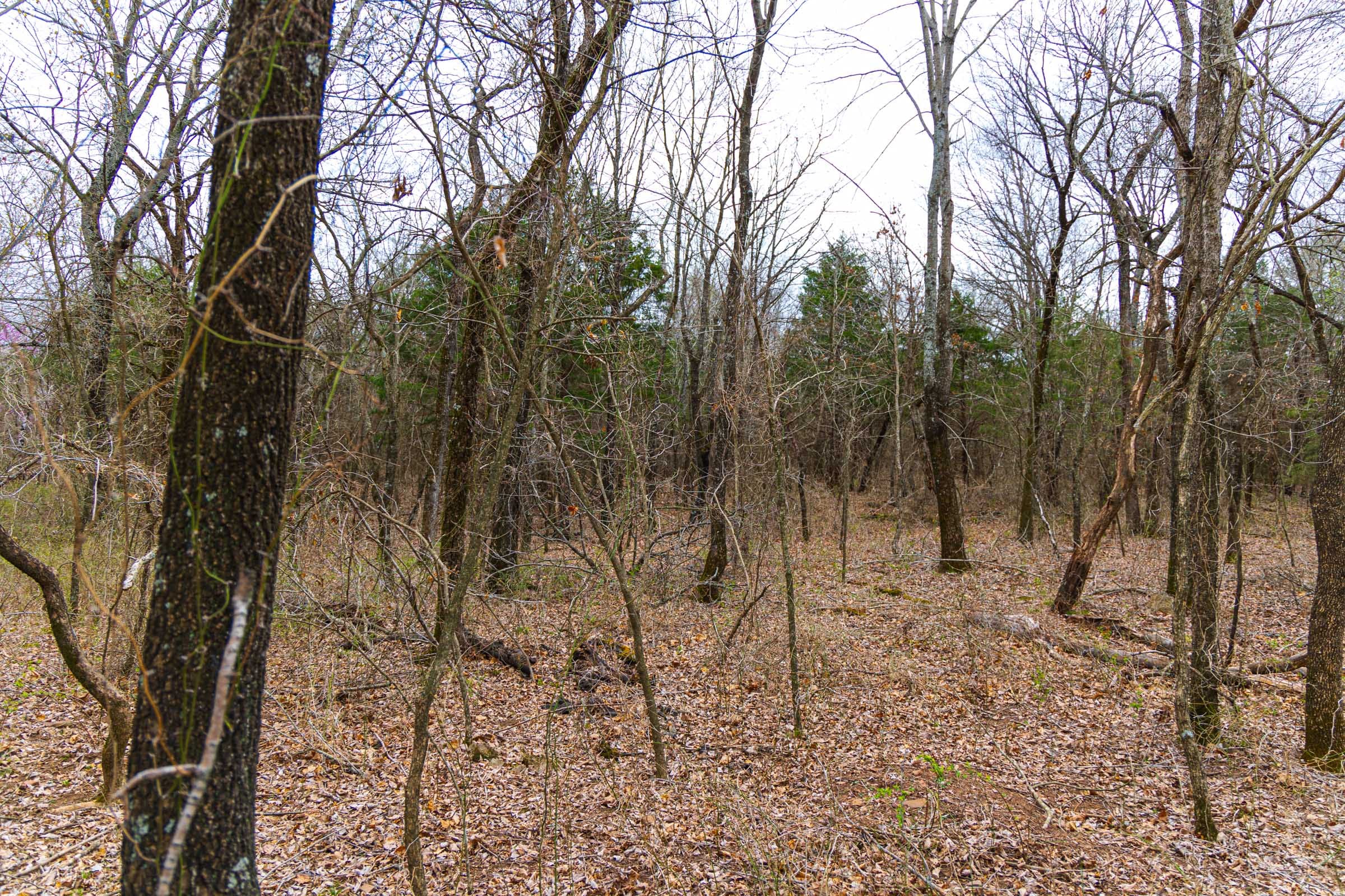 Reserves At Cattail Cove Phase I Tract 7 photo 17