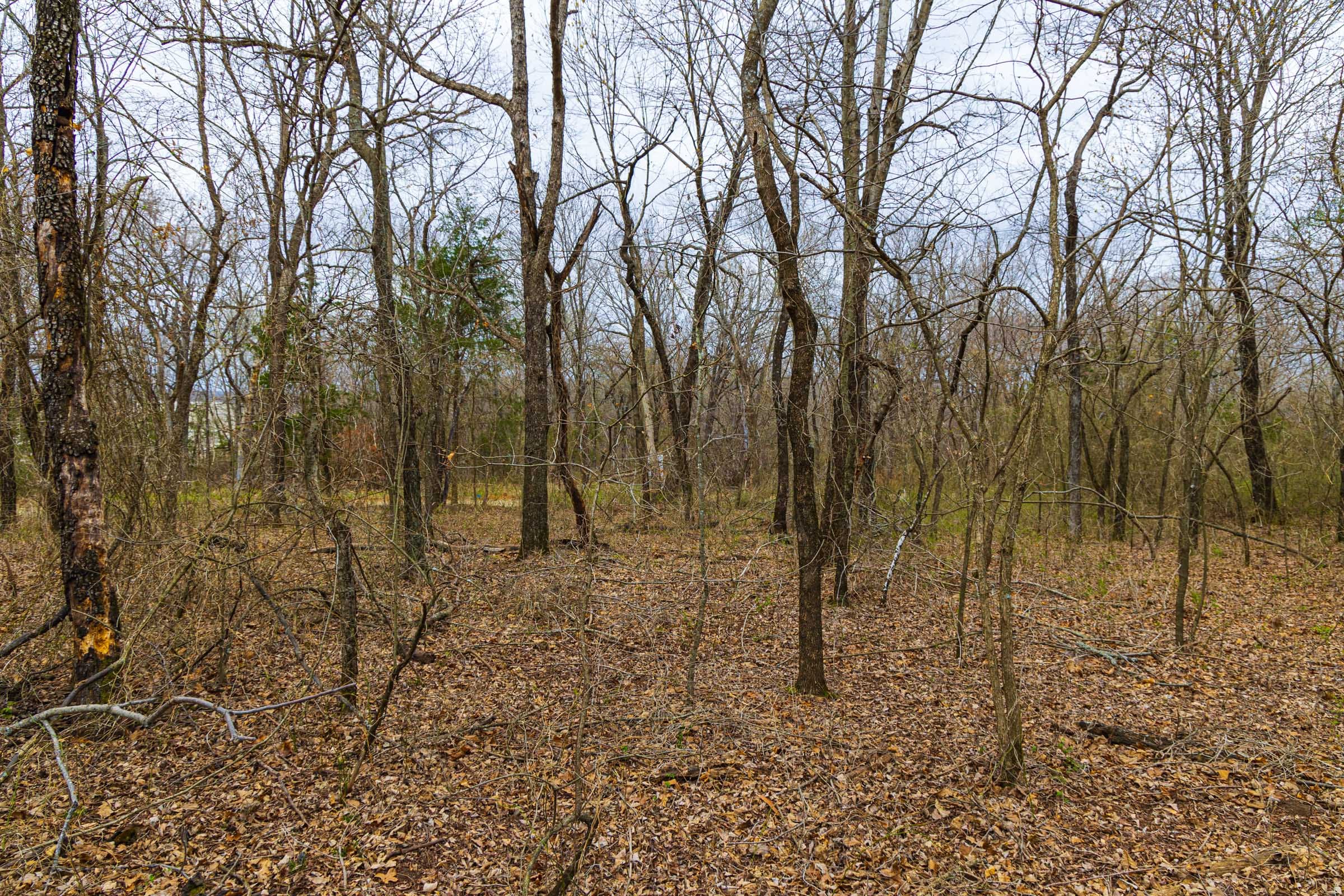 Reserves At Cattail Cove Phase I Tract 7 photo 15