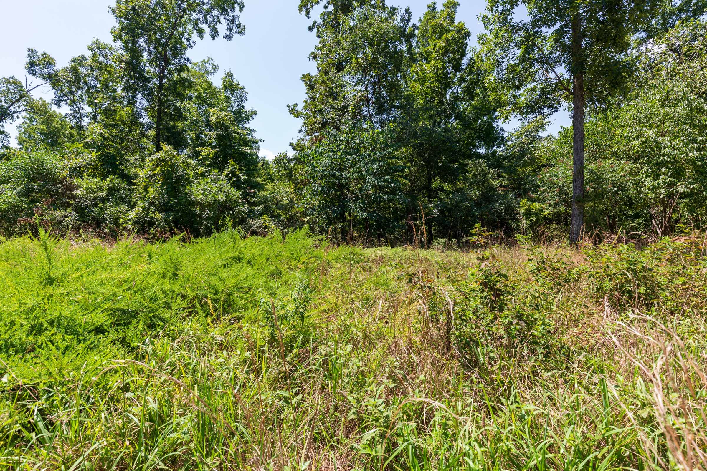 Cypress Ridge Tract 9 photo 2