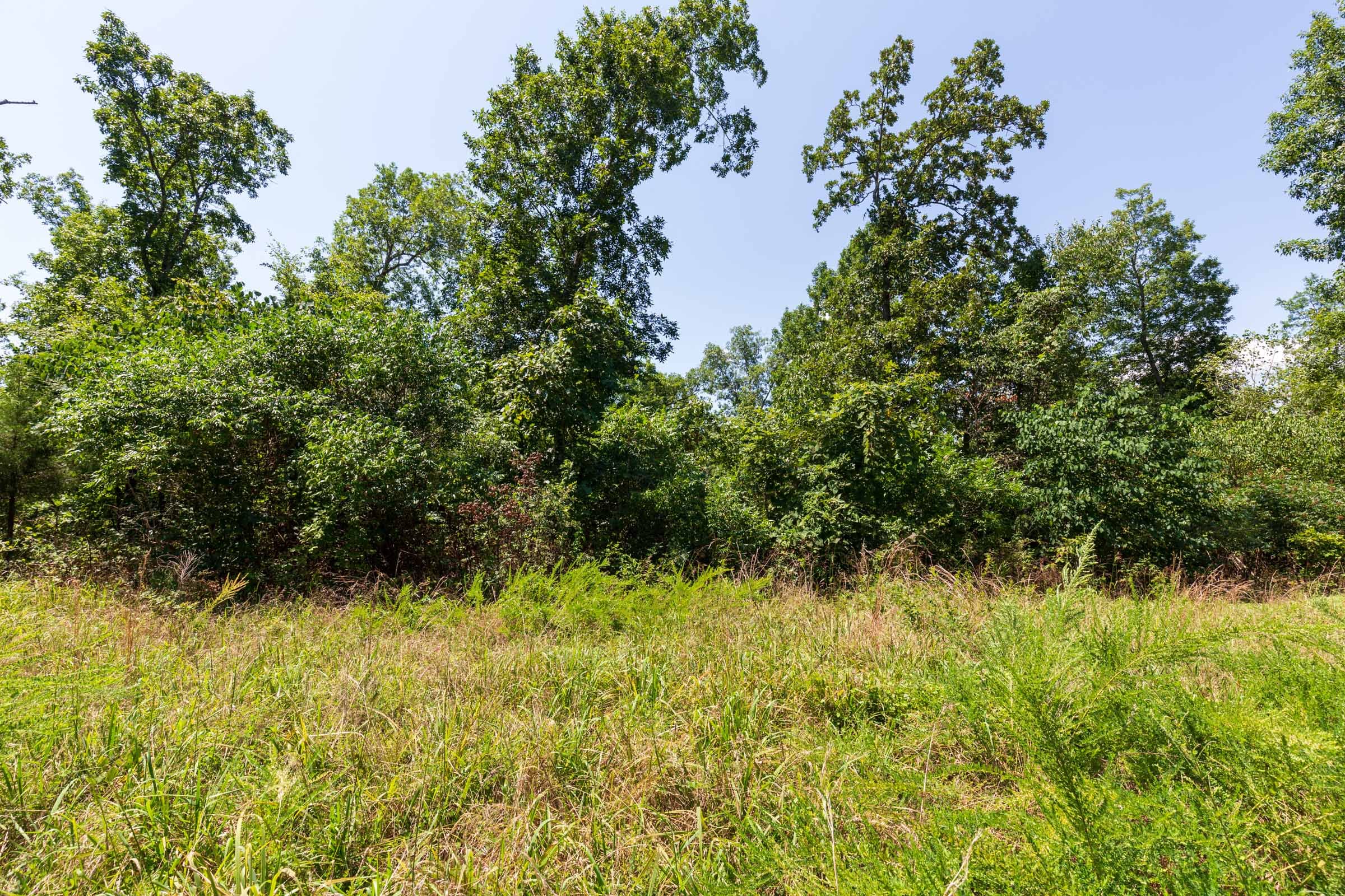 Cypress Ridge Tract 9 photo 4