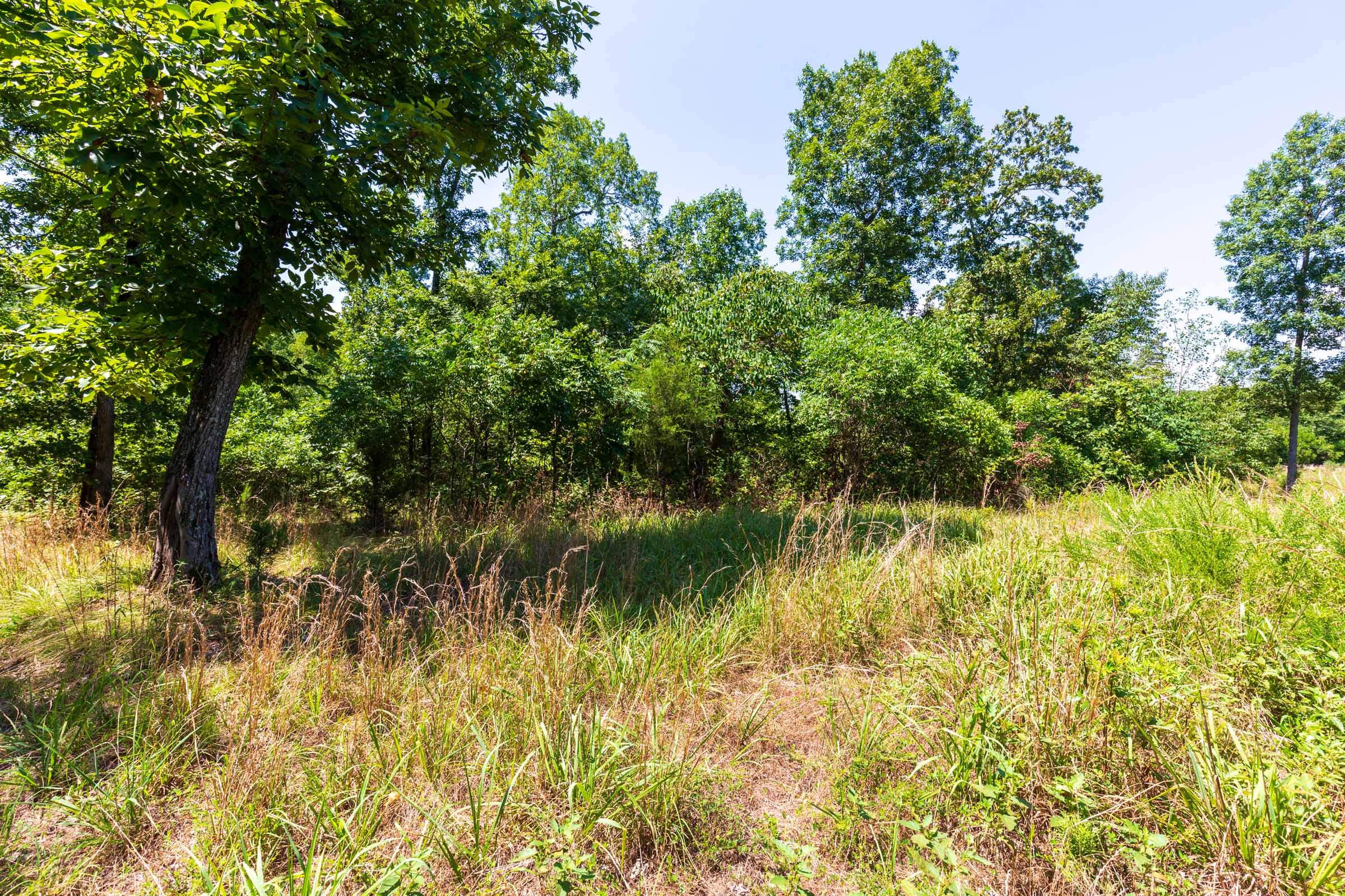 Cypress Ridge Tract 9 photo 7
