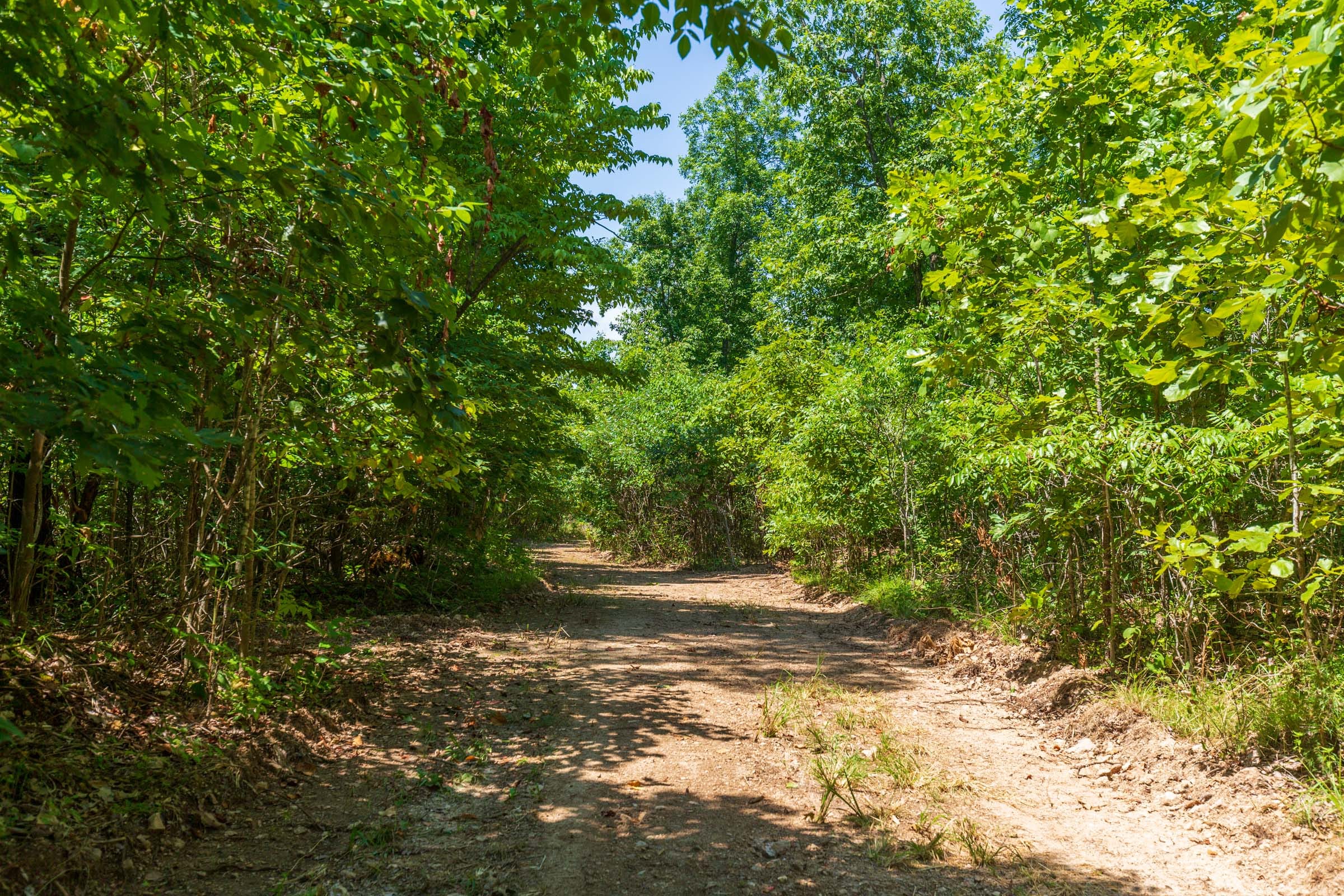 Cypress Ridge Tract 9 photo 5
