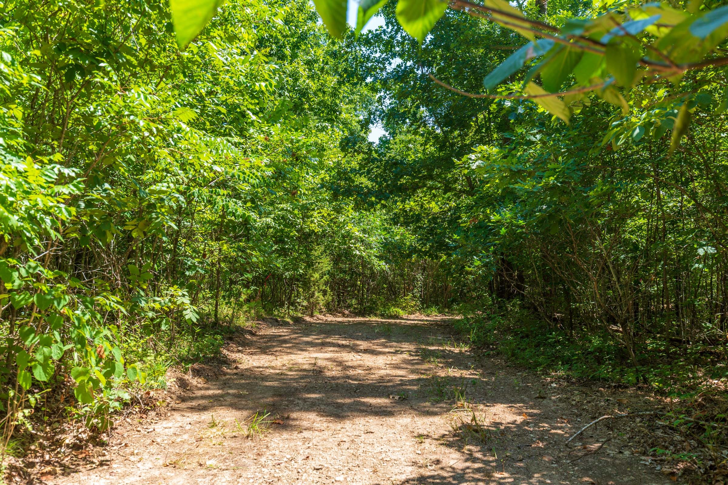 Cypress Ridge Tract 9 photo 10
