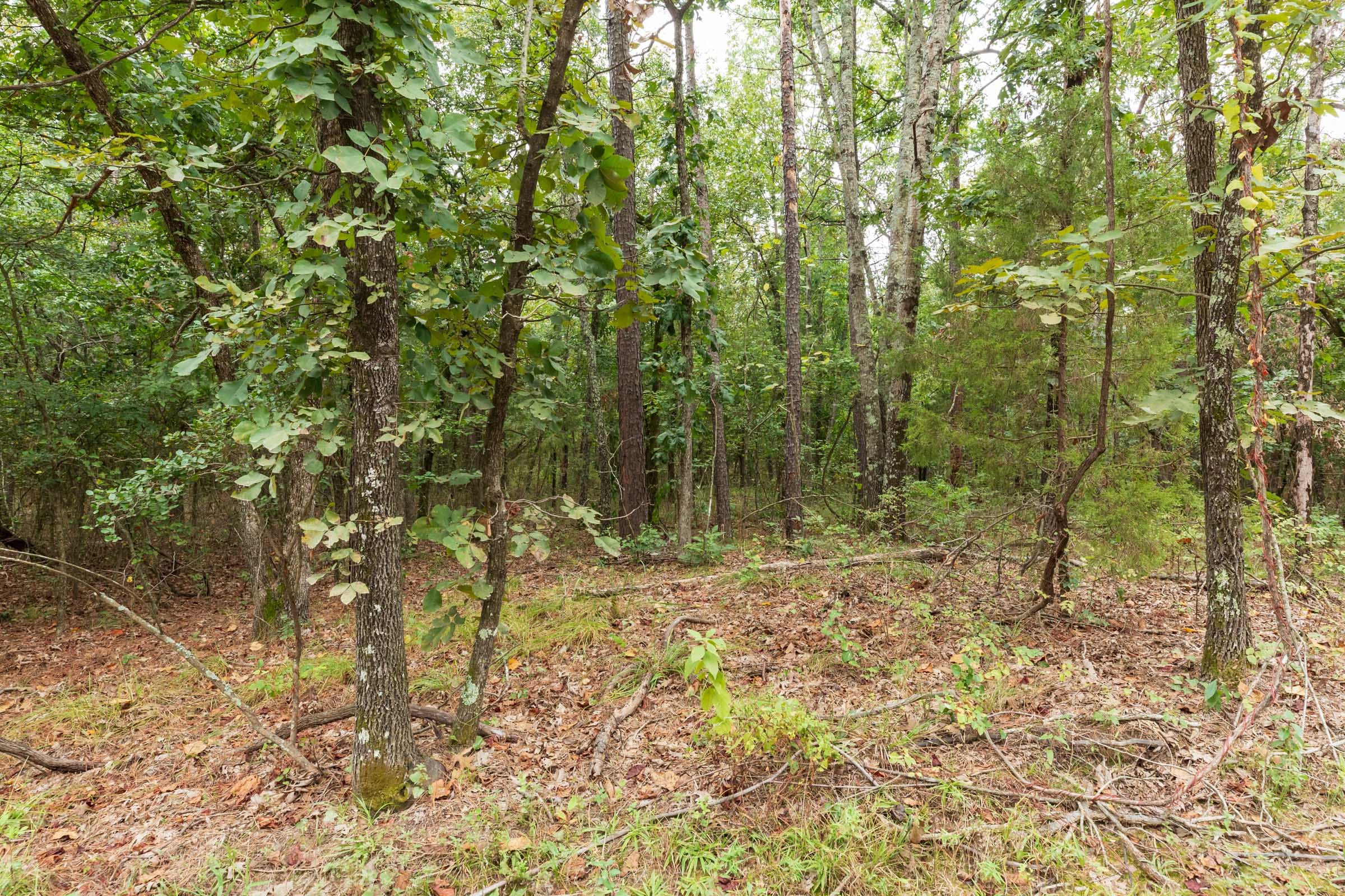 Stone Bridge Phase V Tract 414 photo 10