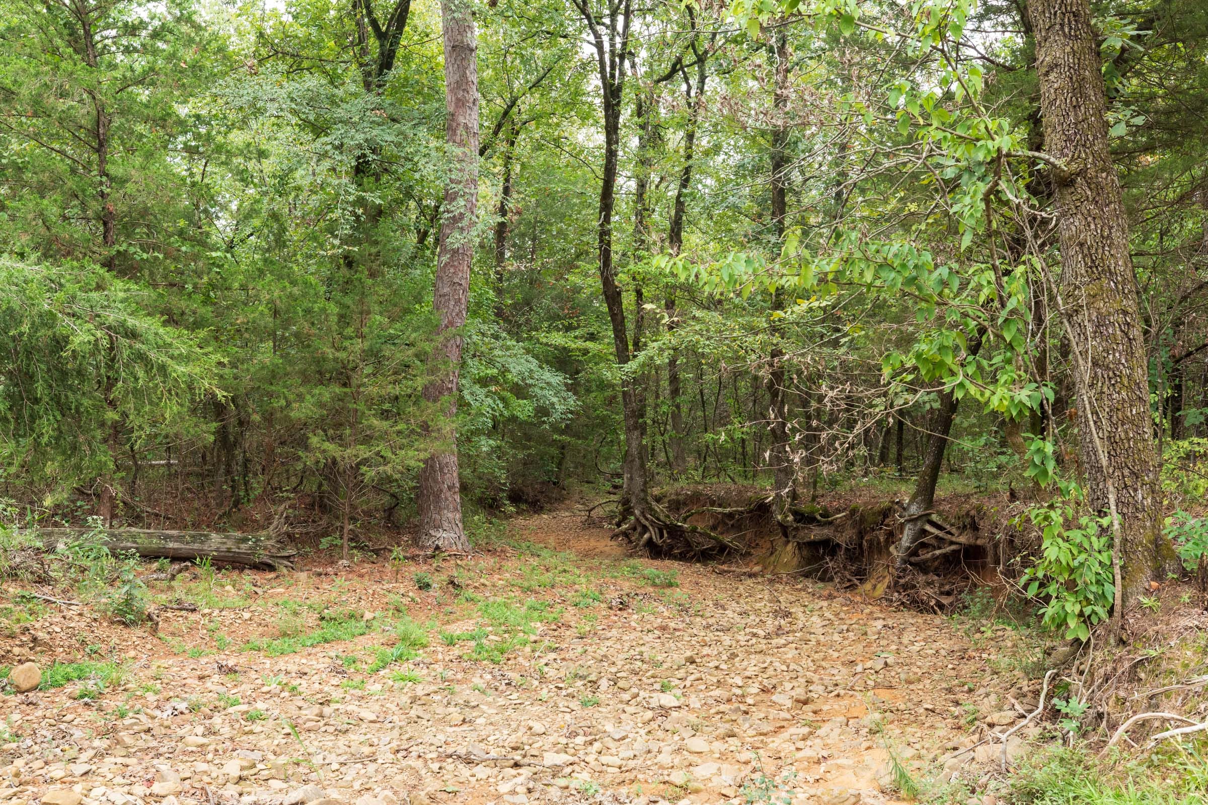 Stone Bridge Phase V Tract 414 photo 8