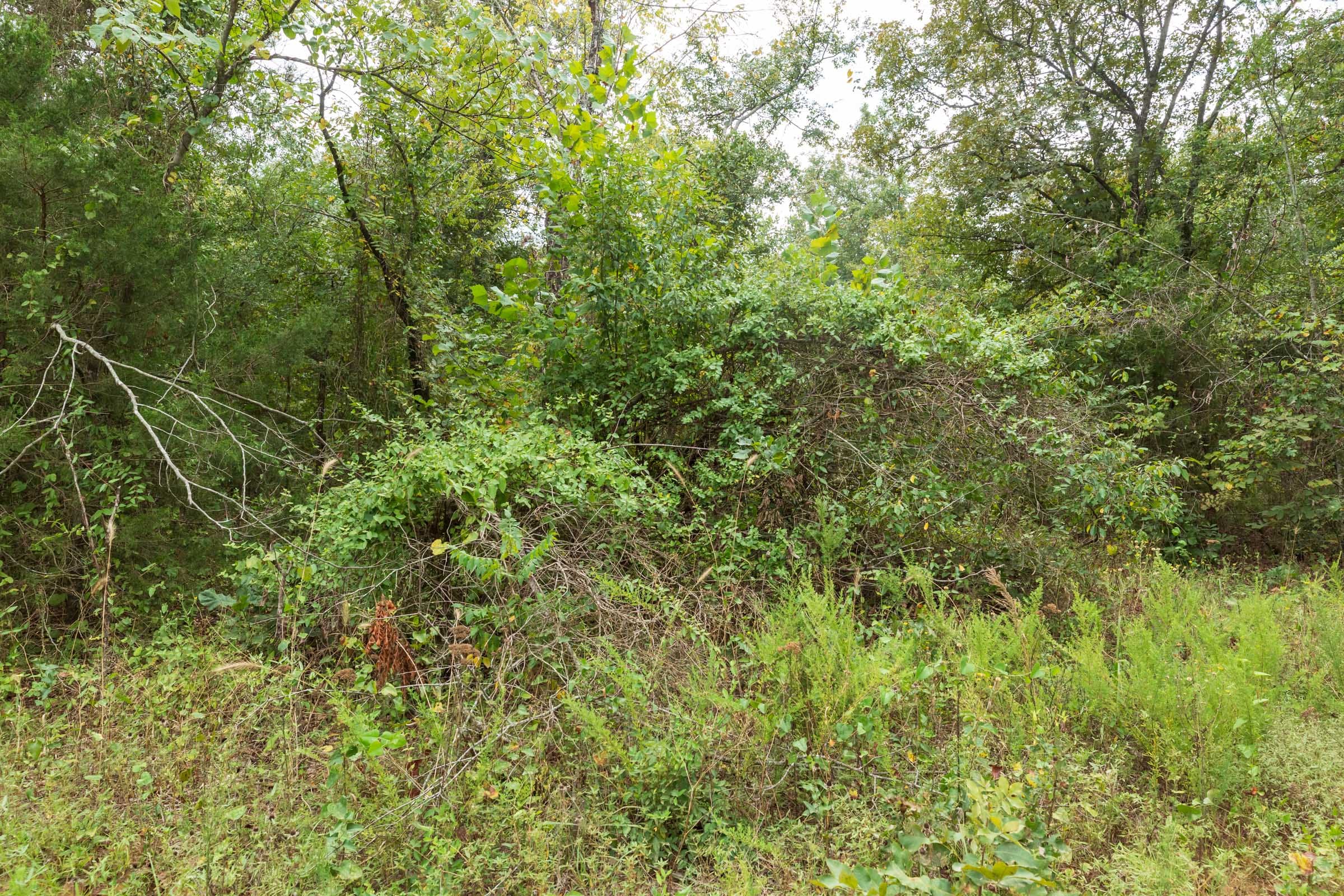 Stone Bridge Phase V Tract 414 photo 11