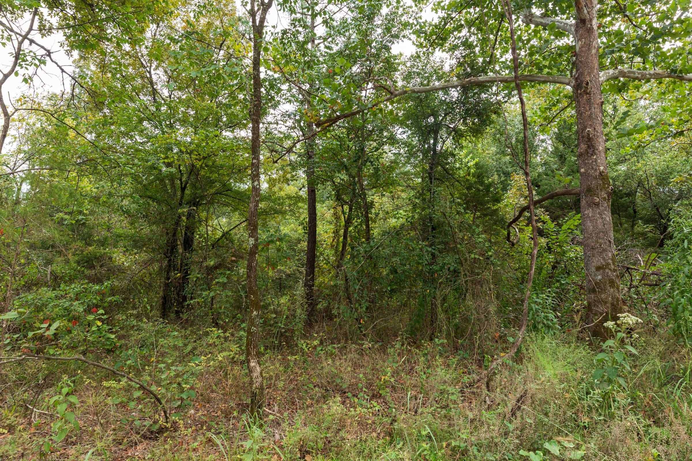 Stone Bridge Phase V Tract 414 photo 17