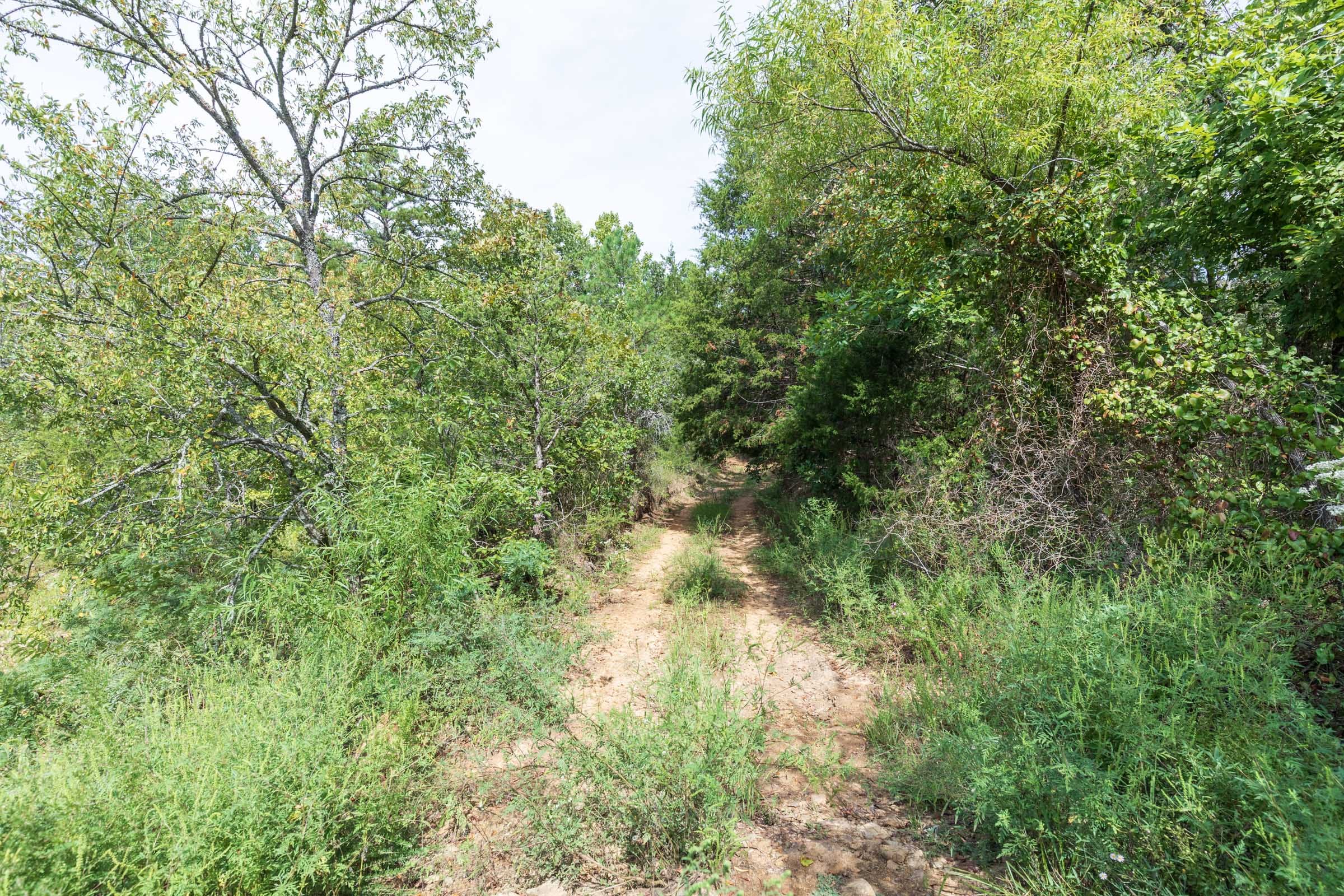 Stone Bridge Phase V Tract 414 photo 12