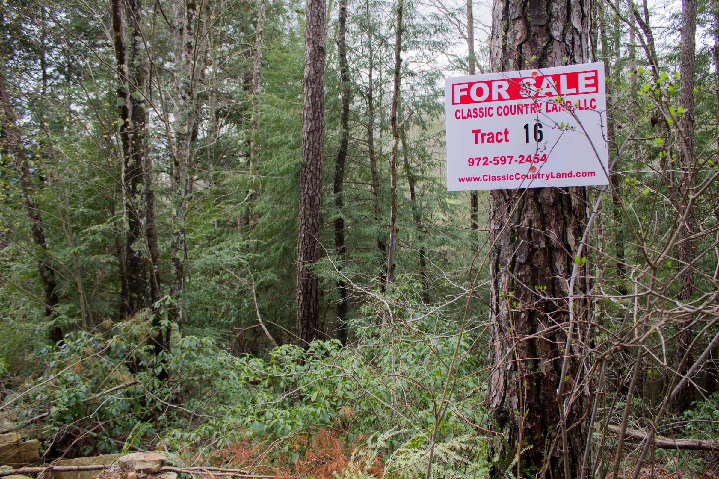 Hidden Hills Tract 16 photo 1