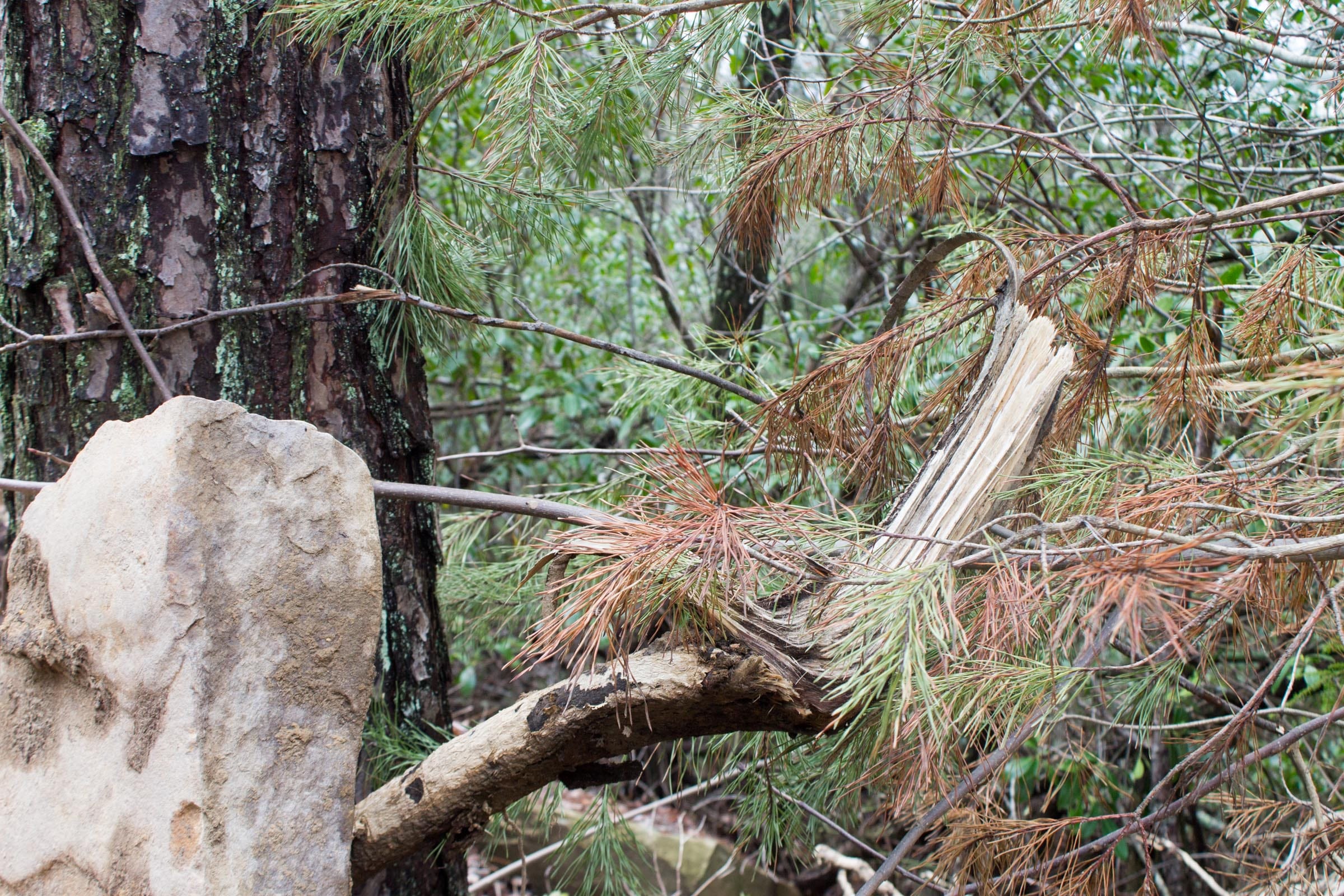 Hidden Hills Tract 16 photo 6