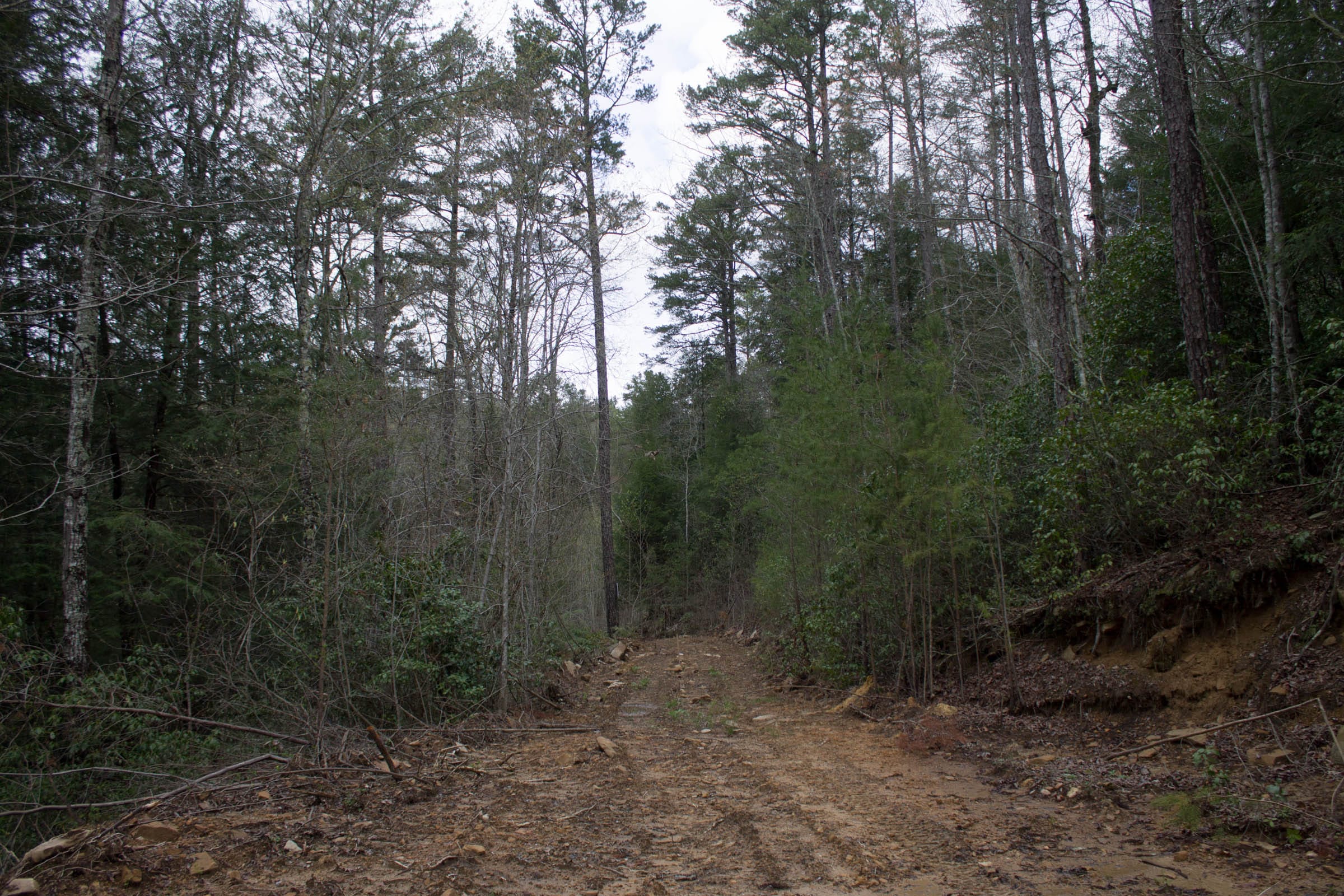 Hidden Hills Tract 16 photo 7
