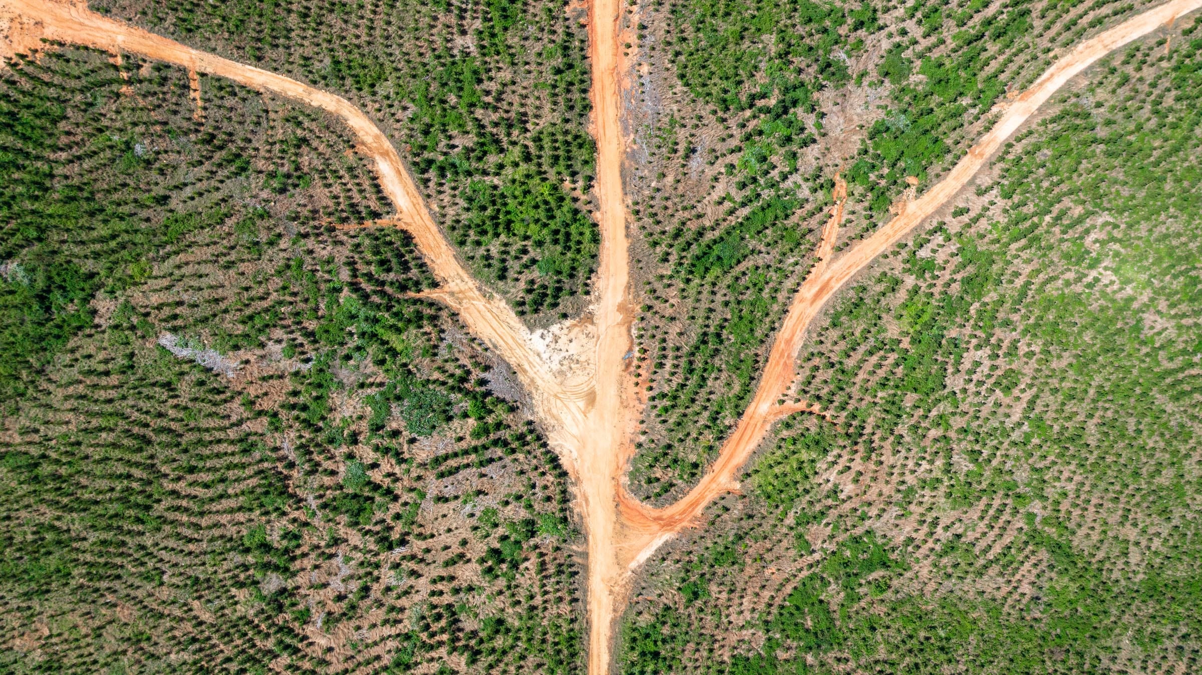 Clear Wood Tract 25 photo 2