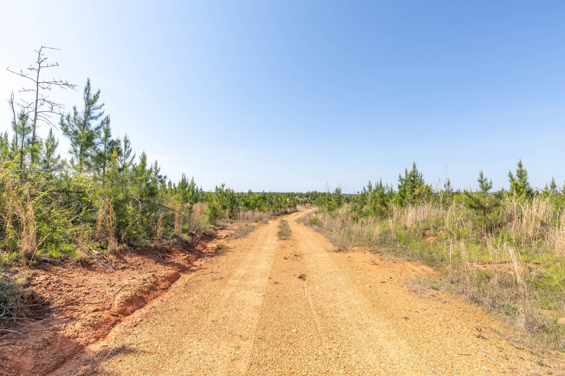 Clear Wood Tract 25 photo 1
